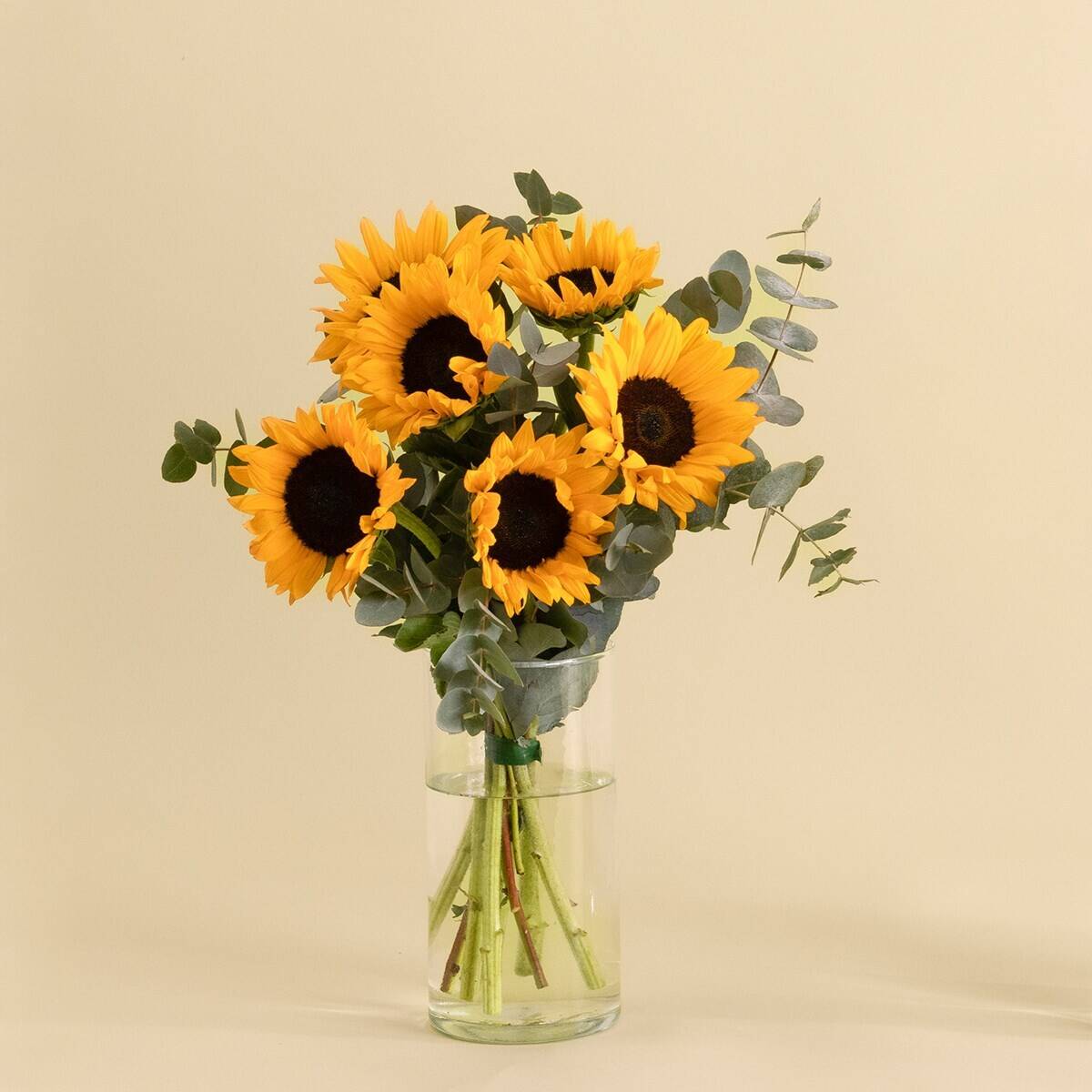 Flower, Flower Arrangement, Plant, Flower Bouquet, Sunflower, Flower, Flower Arrangement, Plant, Flower Bouquet, Sunflower, Flower, Flower Arrangement, Plant, Flower Bouquet, Sunflower, Flower, Flower Arrangement, Plant, Flower Bouquet, Sunflower
