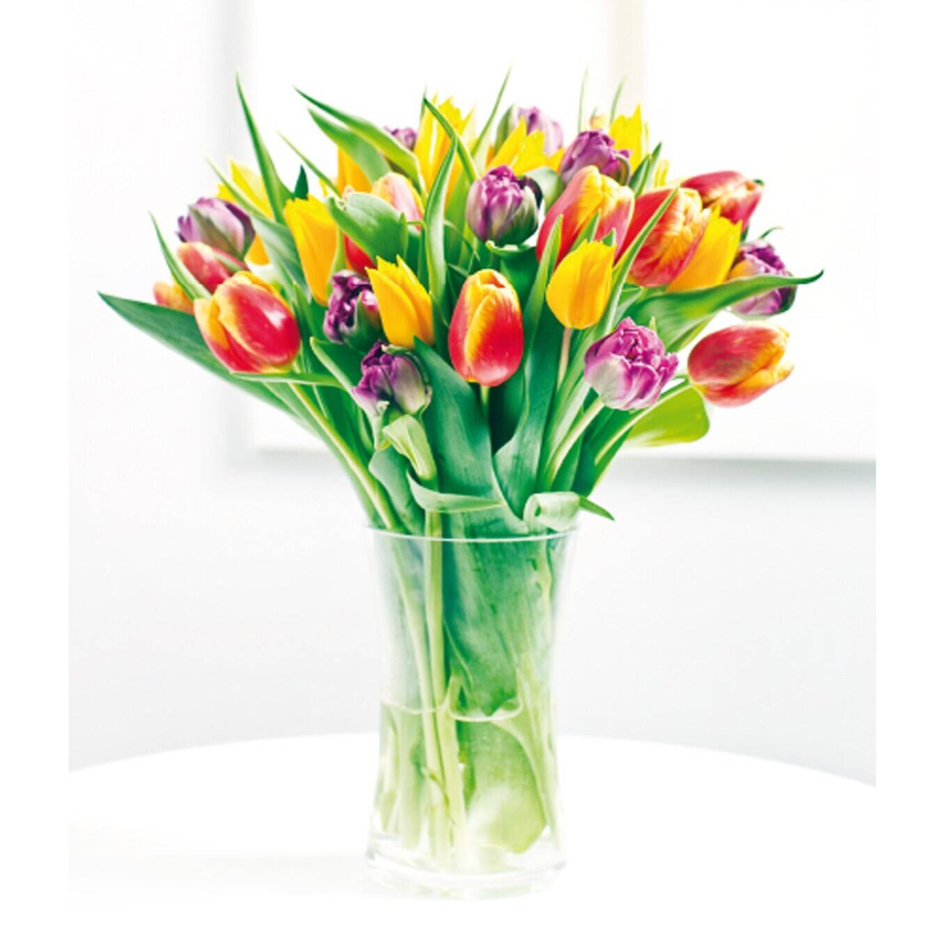 Blume, Blumen-Arrangement, Pflanze, Blumenstrauß, Glas, Blume, Blumen-Arrangement, Pflanze, Blumenstrauß, Glas, Blume, Blumen-Arrangement, Pflanze, Blumenstrauß, Glas, Blume, Blumen-Arrangement, Pflanze, Blumenstrauß, Glas