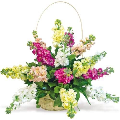 Blume, Blumen-Arrangement, Blumenstrauß, Florales Design, Muster, Blume, Blumen-Arrangement, Blumenstrauß, Florales Design, Muster, Blume, Blumen-Arrangement, Blumenstrauß, Florales Design, Muster