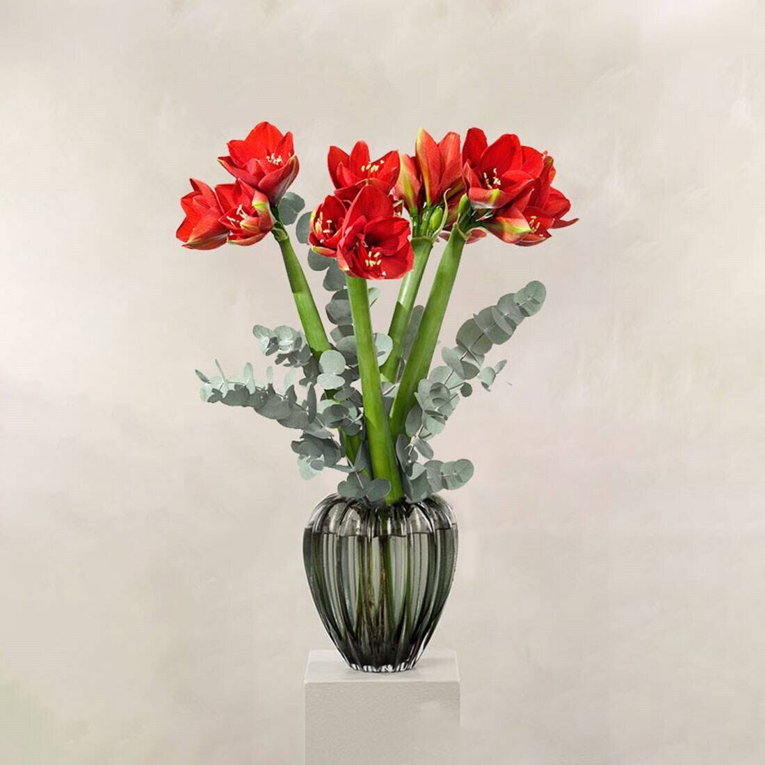 Blume, Blumen-Arrangement, Pflanze, Blumenstrauß, Ikebana, Blume, Blumen-Arrangement, Pflanze, Blumenstrauß, Ikebana, Blume, Blumen-Arrangement, Pflanze, Blumenstrauß, Ikebana, Blume, Blumen-Arrangement, Pflanze, Blumenstrauß, Ikebana