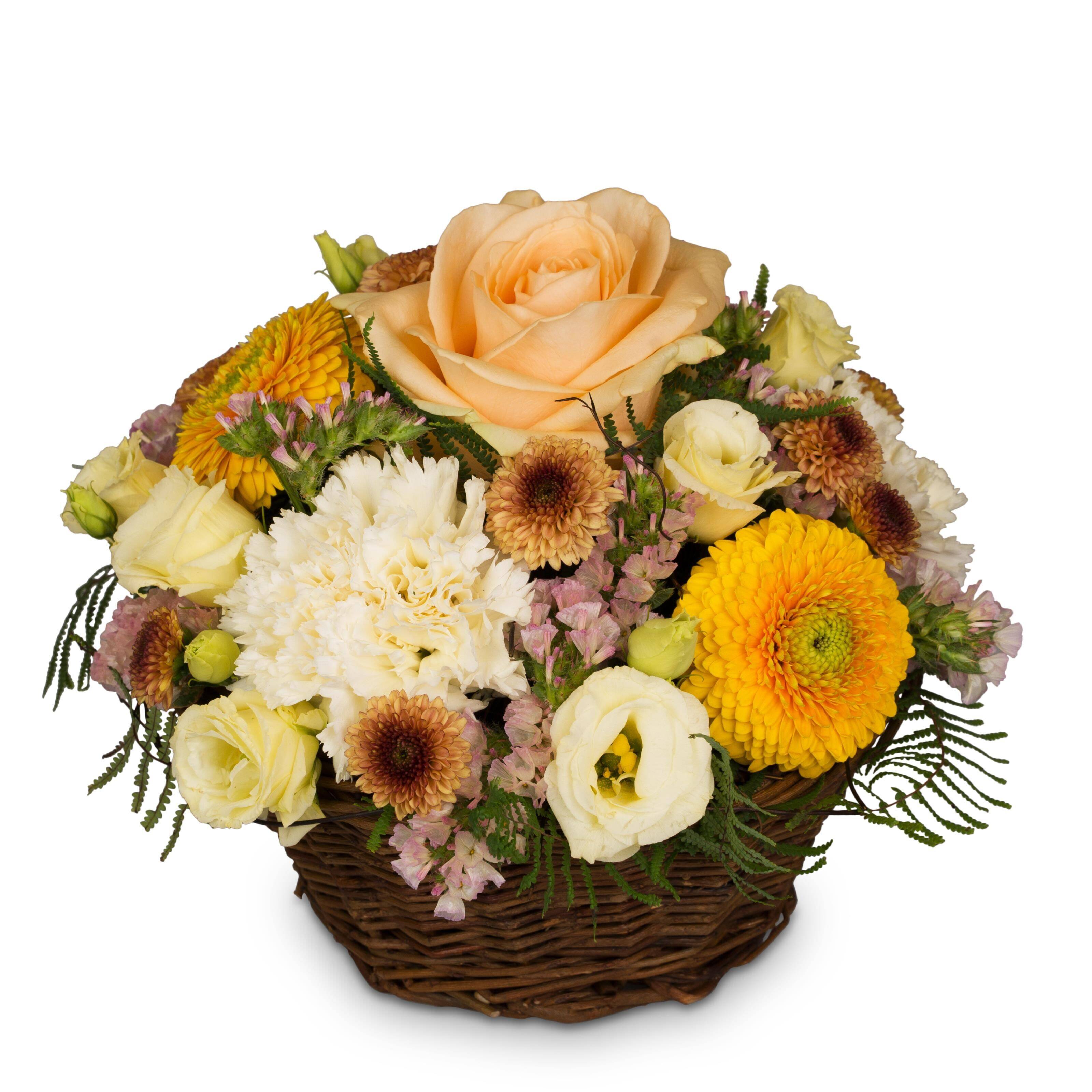 Blume, Blumen-Arrangement, Blumenstrauß, Rose, Florales Design, Blume, Blumen-Arrangement, Blumenstrauß, Rose, Florales Design, Blume, Blumen-Arrangement, Blumenstrauß, Rose, Florales Design, Blume, Blumen-Arrangement, Pflanze, Blumenstrauß, Rose