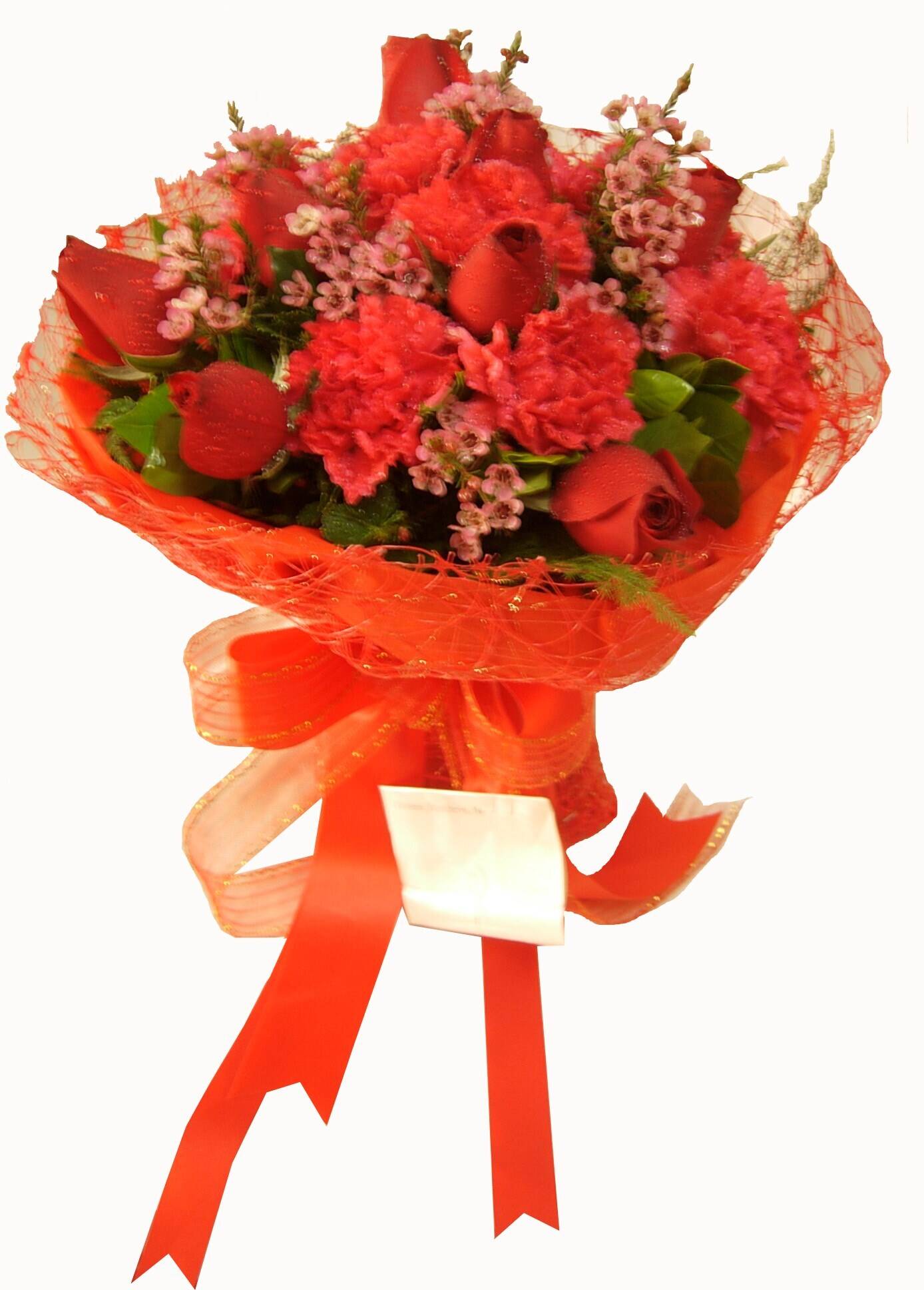 Blume, Blumen-Arrangement, Blumenstrauß, Pflanze, Rose, Blume, Blumen-Arrangement, Blumenstrauß, Pflanze, Rose, Blume, Blumen-Arrangement, Blumenstrauß, Pflanze, Rose, Blume, Blumen-Arrangement, Blumenstrauß, Pflanze, Rose