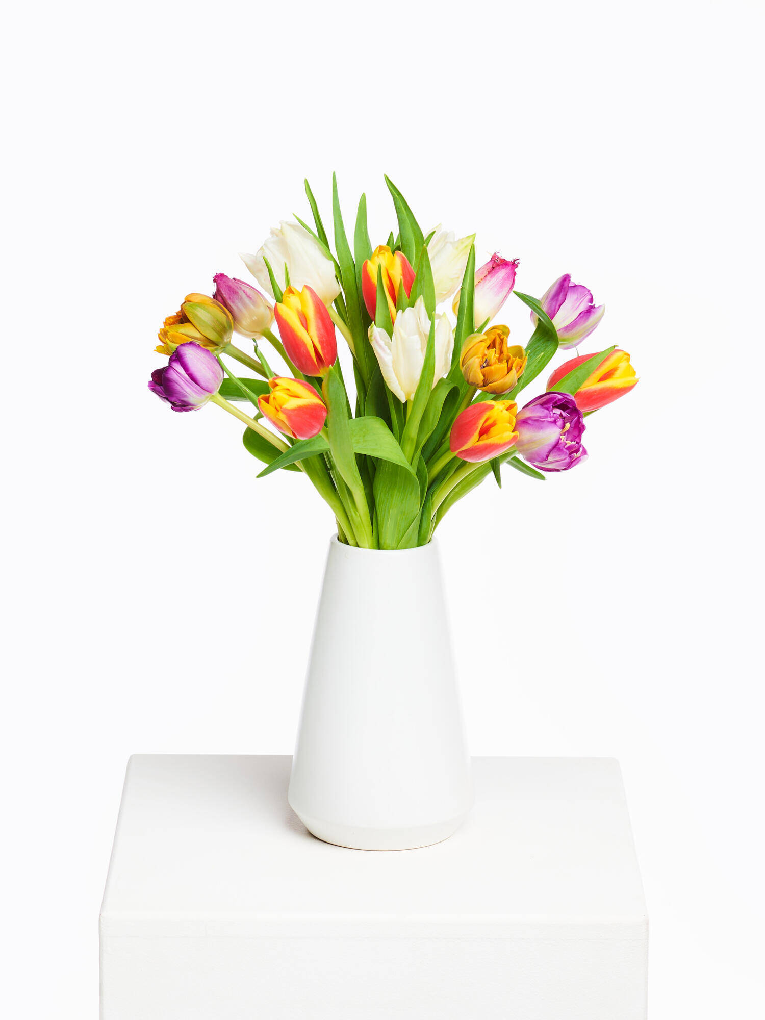 Colourful Tulips