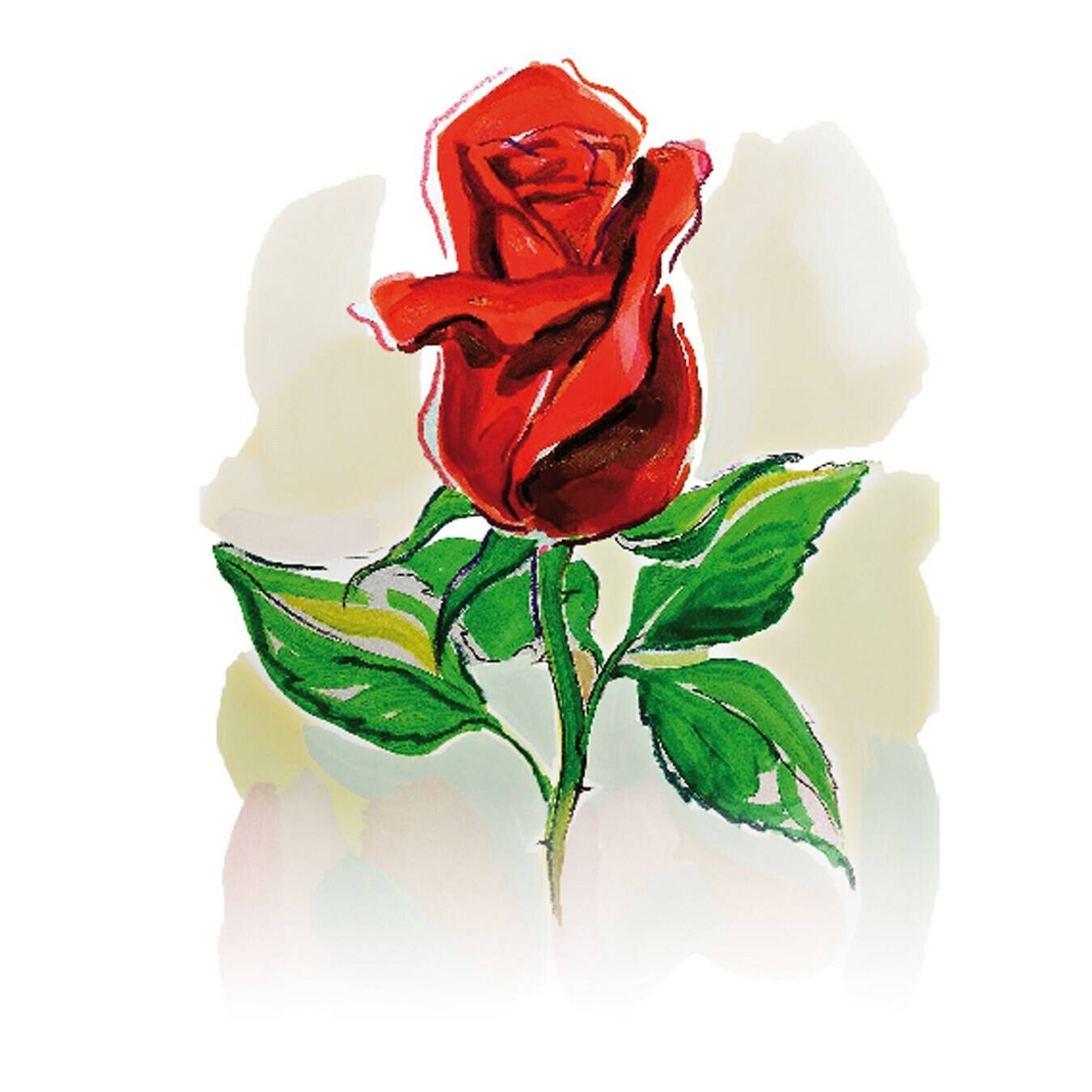 Blume, Pflanze, Rose, Blume, Pflanze, Rose, Blume, Pflanze, Rose, Blume, Pflanze, Rose, Blume, Pflanze, Rose, Blume, Pflanze, Rose, Blume, Pflanze, Rose, Blume, Pflanze, Rose, Blume, Pflanze, Rose, Blume, Pflanze, Rose, Blume, Pflanze, Rose
