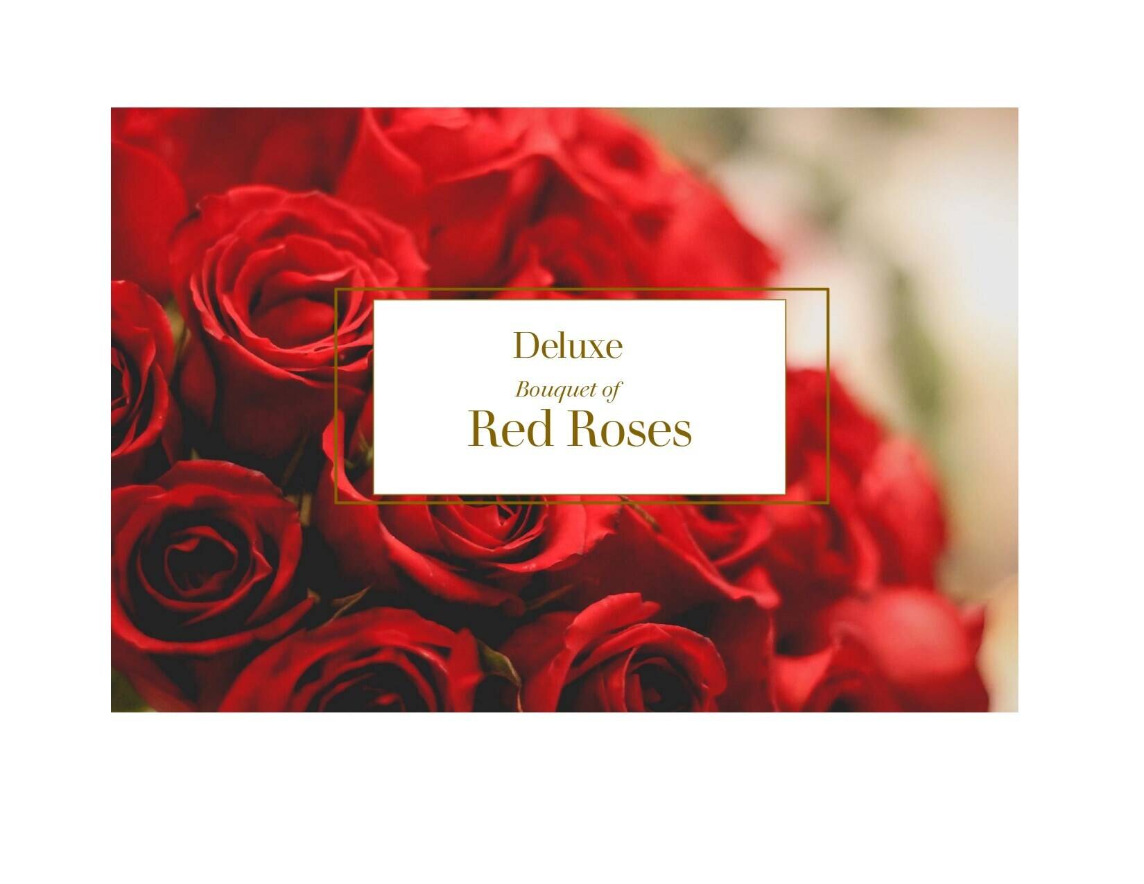 Blume, Rose, Blumen-Arrangement, Blumenstrauß, Blütenblatt, Blume, Rose, Blumen-Arrangement, Blumenstrauß, Blütenblatt, Blume, Rose, Blumen-Arrangement, Blumenstrauß, Blütenblatt, Blume, Rose, Blumen-Arrangement, Blumenstrauß, Blütenblatt