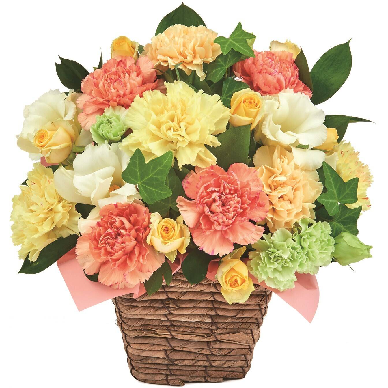 Blume, Blumen-Arrangement, Pflanze, Blumenstrauß, Rose, Blume, Blumen-Arrangement, Pflanze, Blumenstrauß, Rose, Blume, Blumen-Arrangement, Pflanze, Blumenstrauß, Rose, Blume, Blumen-Arrangement, Pflanze, Blumenstrauß, Rose