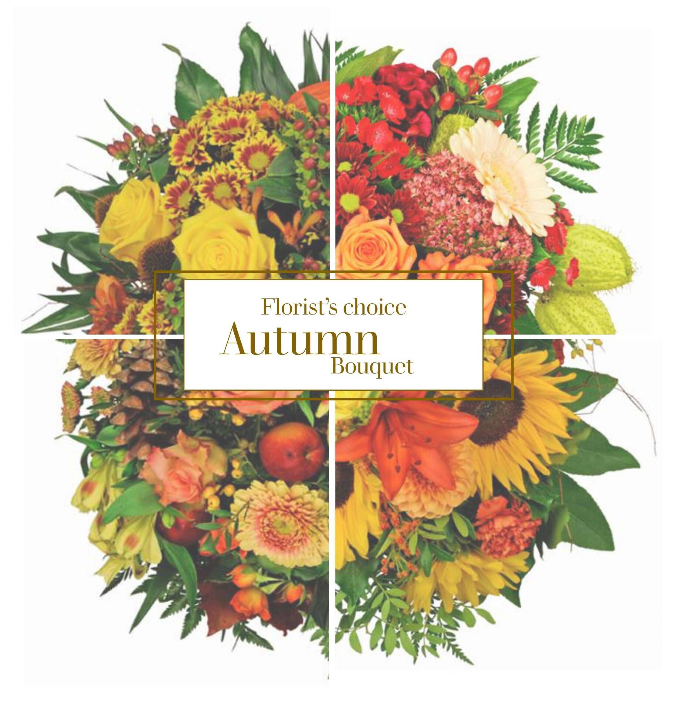 Blume, Blumen-Arrangement, Blumenstrauß, Grafiken, Florales Design, Blume, Blumen-Arrangement, Blumenstrauß, Grafiken, Florales Design, Blume, Blumen-Arrangement, Blumenstrauß, Grafiken, Florales Design, Blumenstrauß, Blumen, Herbst, Anordnung, Florales