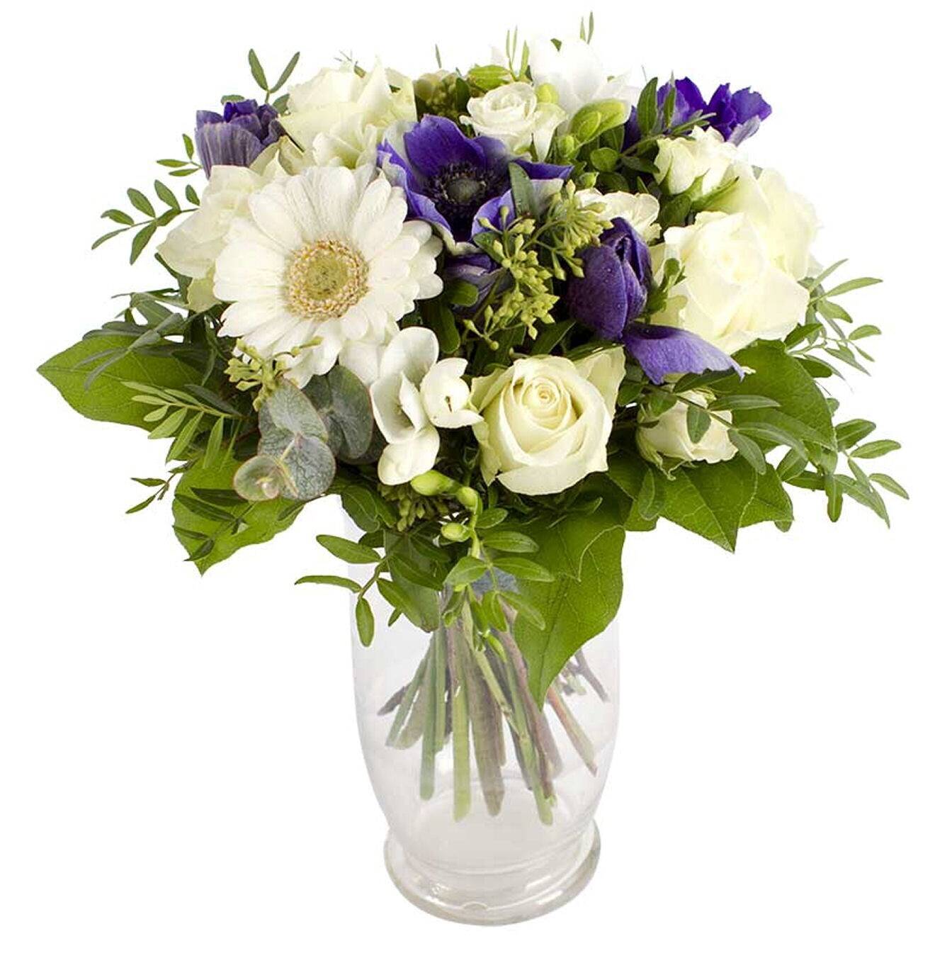 Blume, Blumen-Arrangement, Pflanze, Blumenstrauß, Rose, Blume, Blumen-Arrangement, Pflanze, Blumenstrauß, Rose, Blume, Blumen-Arrangement, Pflanze, Blumenstrauß, Rose, Blume, Blumen-Arrangement, Pflanze, Blumenstrauß, Rose