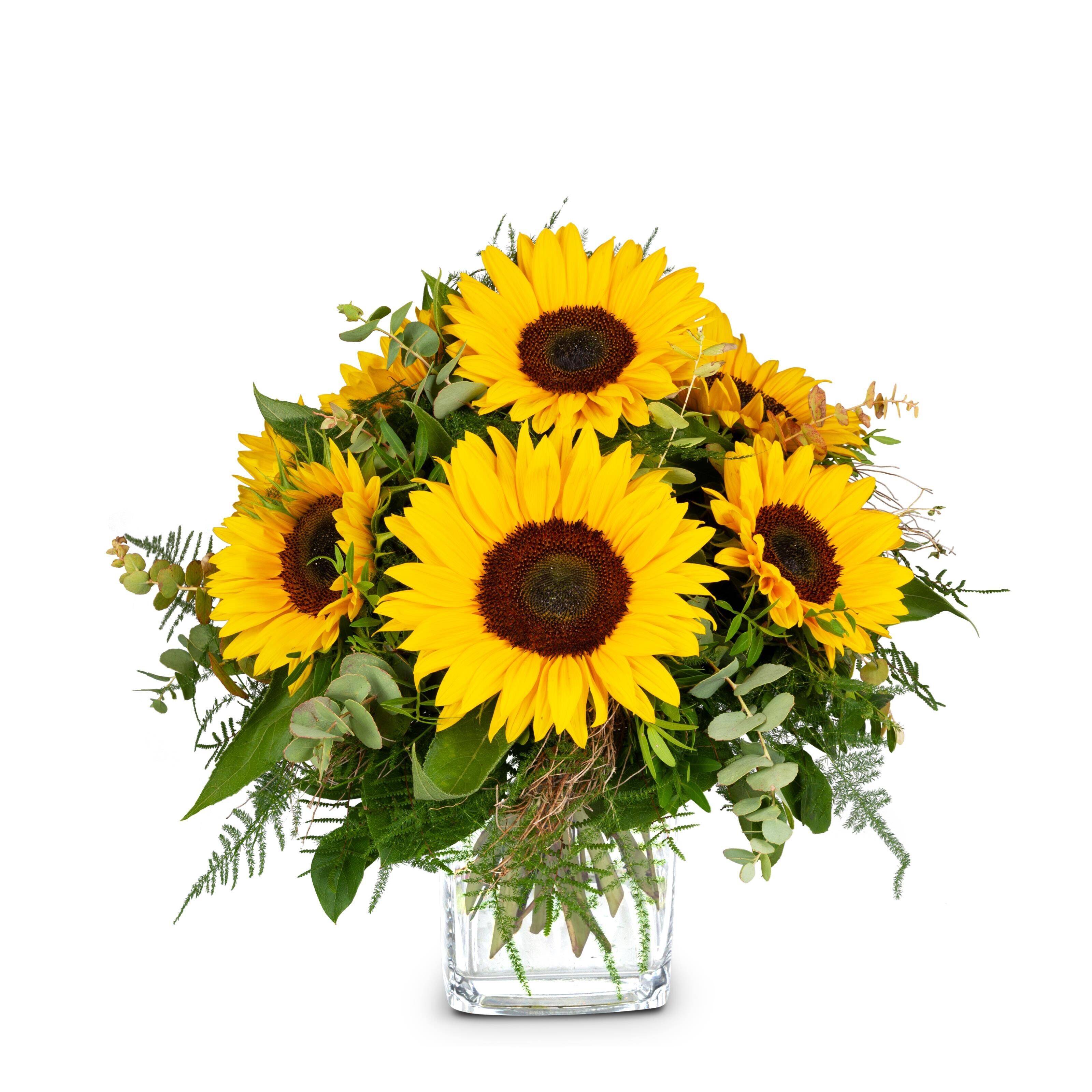 sunflowers, bouquet, flowers, glass vase, yellow petals, sunflowers, bouquet, florals, gladiator, glasses-vase, sunflowers, bouquet, floral, gladiolus?, vase, sunflowers, bouquet, floral, glasses vase, yellow flowers