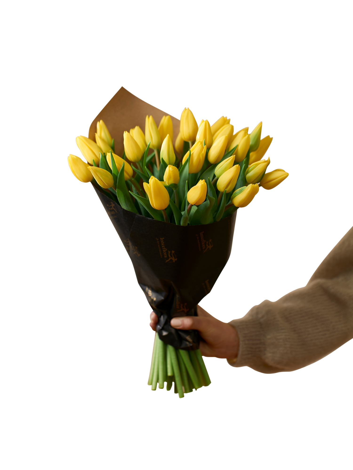 Easter Tulips 240131