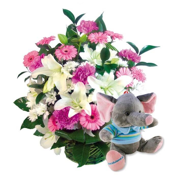Blume, Blumen-Arrangement, Blumenstrauß, Blütenblatt, Spielzeug, Blume, Blumen-Arrangement, Blumenstrauß, Blütenblatt, Spielzeug, Blume, Blumen-Arrangement, Blumenstrauß, Blütenblatt, Spielzeug