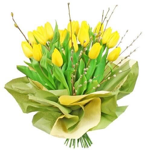 Blume, Blumen-Arrangement, Pflanze, Blumenstrauß, Blume, Blumen-Arrangement, Pflanze, Blumenstrauß, Blume, Blumen-Arrangement, Pflanze, Blumenstrauß, Blume, Blumen-Arrangement, Pflanze, Blumenstrauß, Blume, Blumen-Arrangement, Pflanze, Blumenstrauß