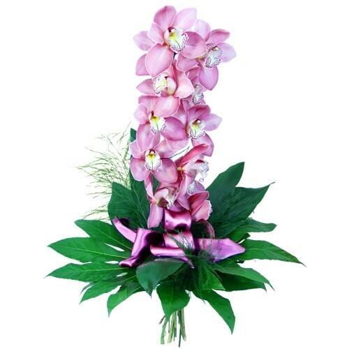 Blume, Blumen-Arrangement, Pflanze, Blumenstrauß, Blume, Blumen-Arrangement, Pflanze, Blumenstrauß, Blume, Blumen-Arrangement, Pflanze, Blumenstrauß, Blume, Blumen-Arrangement, Pflanze, Blumenstrauß, Blume, Blumen-Arrangement, Pflanze, Blumenstrauß