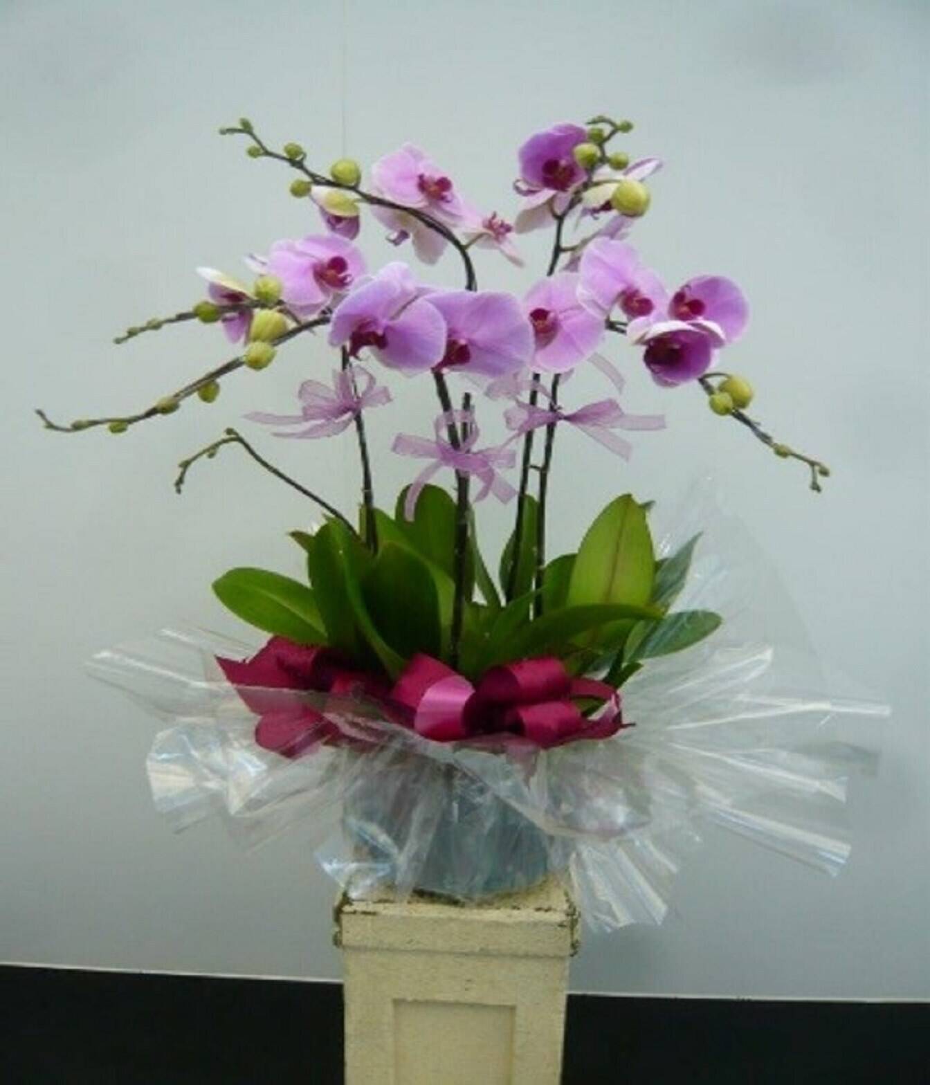 Blume, Blumen-Arrangement, Pflanze, Blumenstrauß, Ikebana, Blume, Blumen-Arrangement, Pflanze, Blumenstrauß, Ikebana, Blume, Blumen-Arrangement, Pflanze, Blumenstrauß, Ikebana, Blume, Blumen-Arrangement, Pflanze, Blumenstrauß, Ikebana