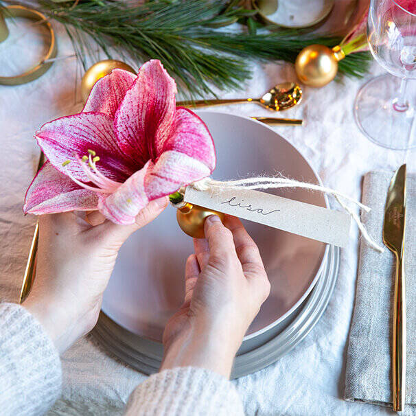 Fertige Platzdeko mit Amaryllis