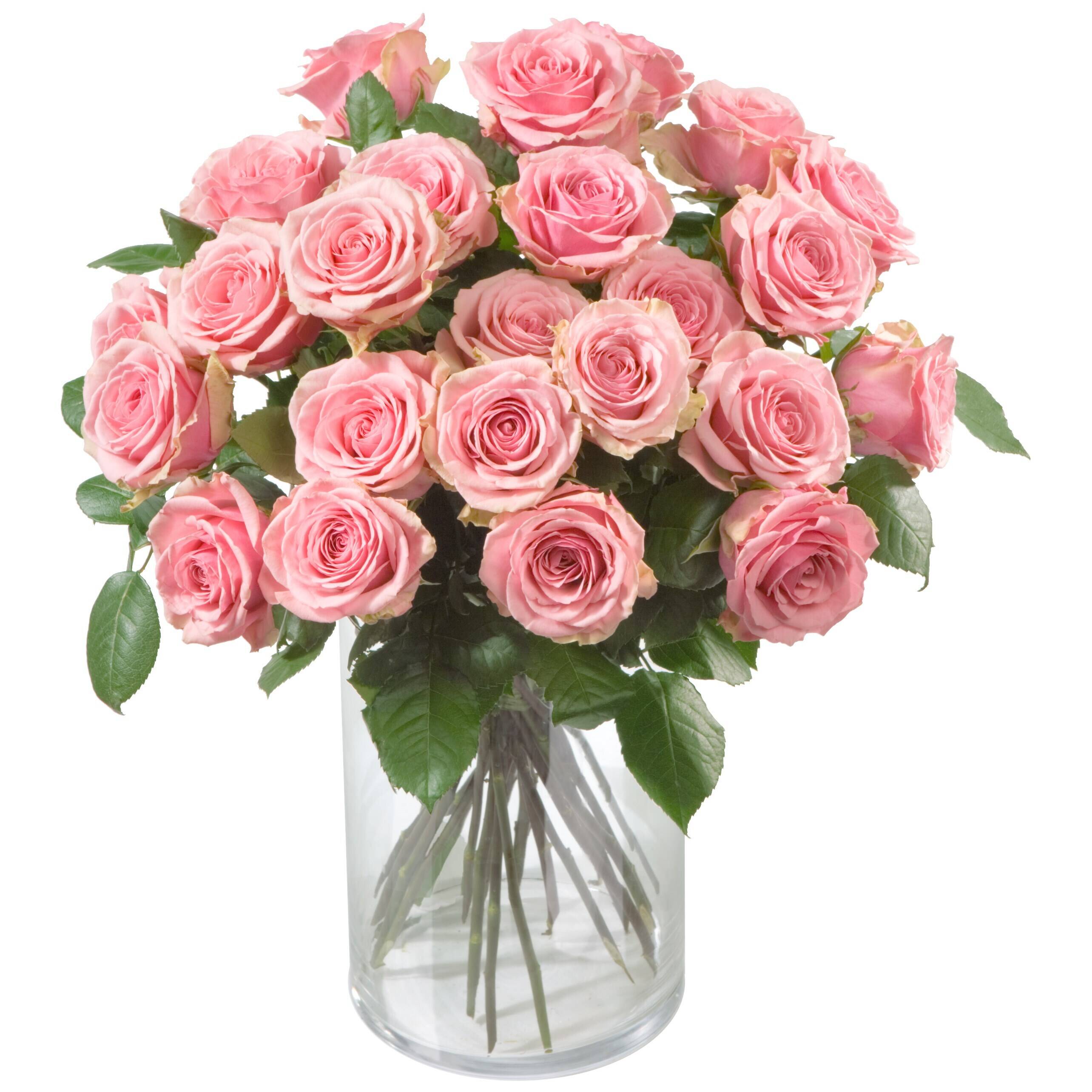 Blume, Blumen-Arrangement, Pflanze, Blumenstrauß, Rose, Blume, Blumen-Arrangement, Pflanze, Blumenstrauß, Rose, Blume, Blumen-Arrangement, Pflanze, Blumenstrauß, Rose, Blume, Blumen-Arrangement, Pflanze, Blumenstrauß, Rose