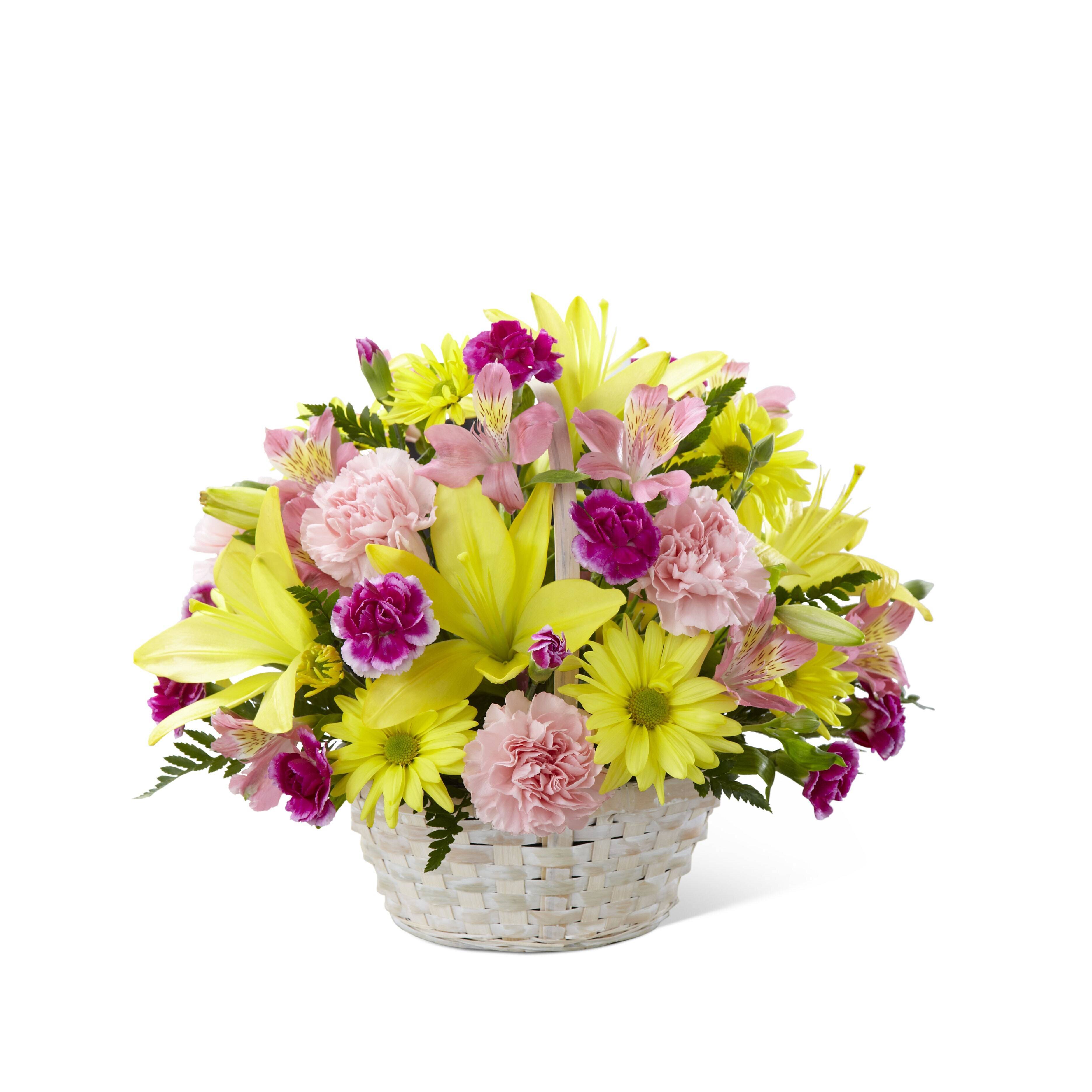 Blume, Blumen-Arrangement, Blumenstrauß, Pflanze, Blume, Blumen-Arrangement, Blumenstrauß, Pflanze, Blume, Blumen-Arrangement, Blumenstrauß, Pflanze, Blume, Blumen-Arrangement, Blumenstrauß, Pflanze, Blume, Blumen-Arrangement, Blumenstrauß, Pflanze