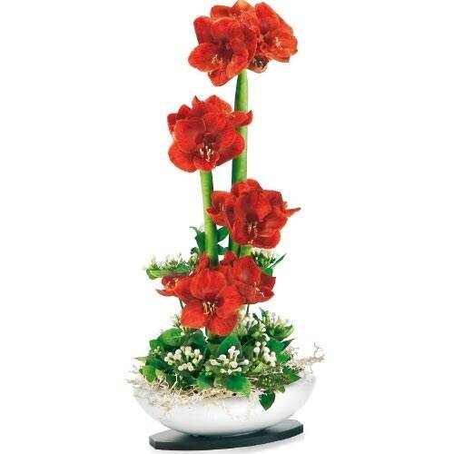 Blume, Pflanze, Blumen-Arrangement, Ikebana, Blume, Pflanze, Blumen-Arrangement, Ikebana, Blume, Pflanze, Blumen-Arrangement, Ikebana, Blume, Pflanze, Blumen-Arrangement, Ikebana, Blume, Pflanze, Blumen-Arrangement, Ikebana