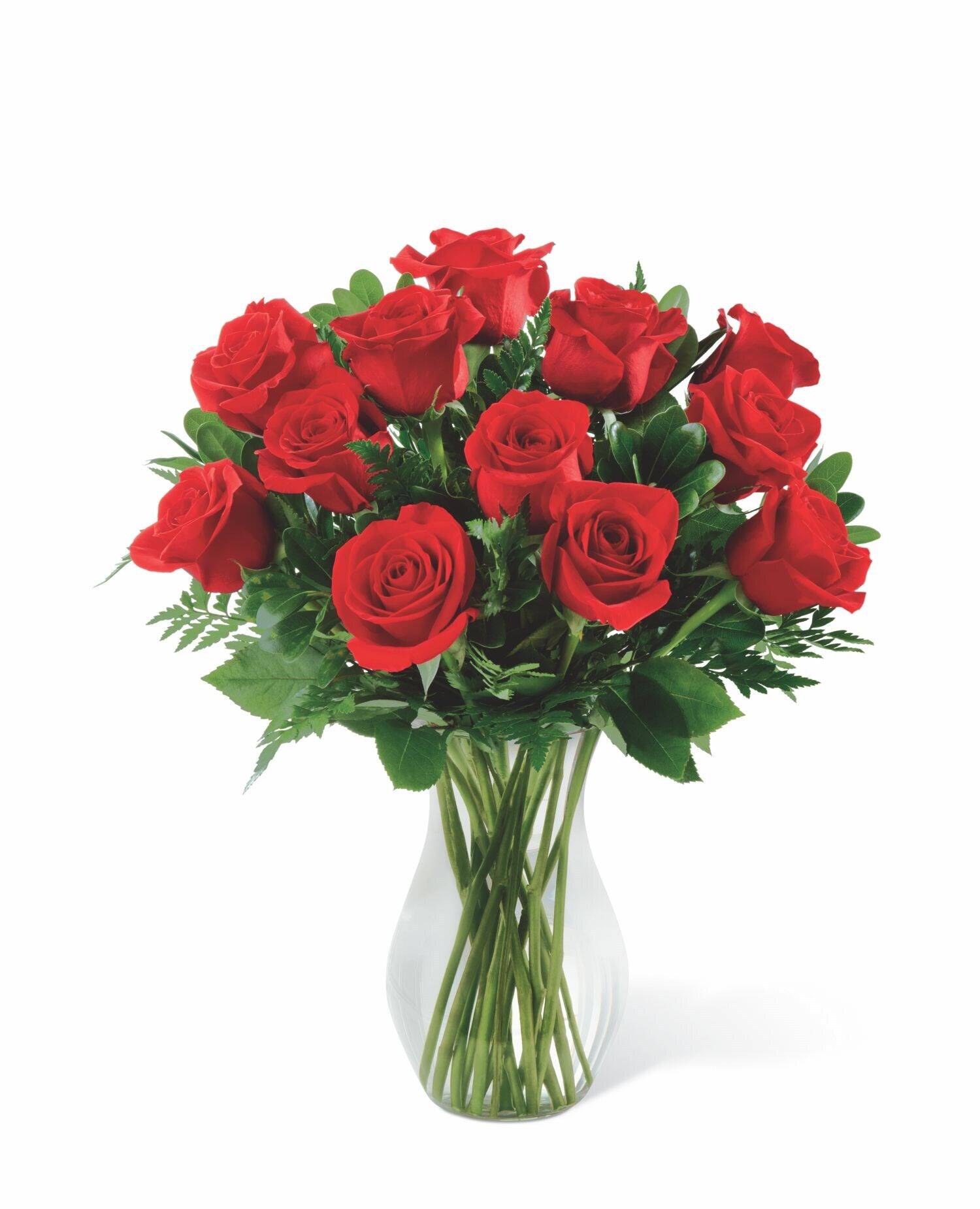 Blume, Pflanze, Rose, Blumen-Arrangement, Blumenstrauß, Blume, Pflanze, Rose, Blumen-Arrangement, Blumenstrauß, Blume, Pflanze, Rose, Blumen-Arrangement, Blumenstrauß, Blume, Pflanze, Rose, Blumen-Arrangement, Blumenstrauß