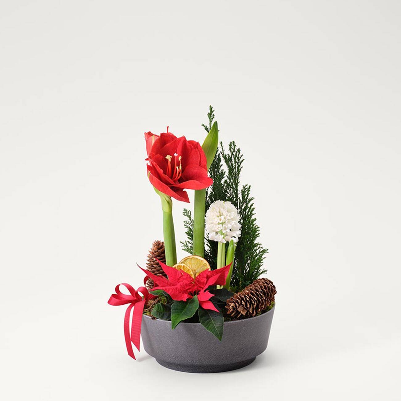 Christmas Amaryllis Ornament