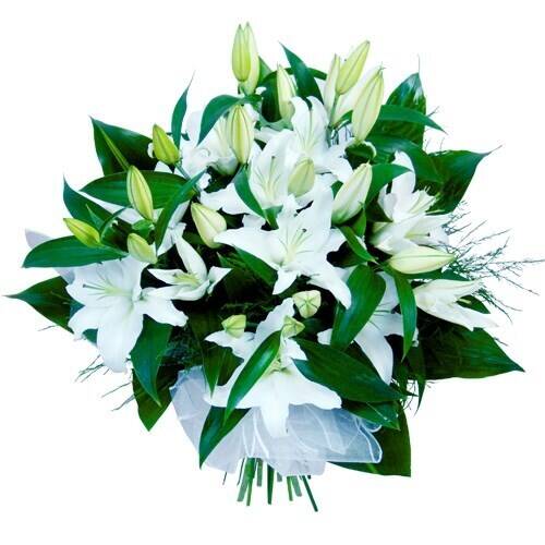 Blume, Blumen-Arrangement, Blumenstrauß, Pflanze, Blume, Blumen-Arrangement, Blumenstrauß, Pflanze, Blume, Blumen-Arrangement, Blumenstrauß, Pflanze, Blume, Blumen-Arrangement, Blumenstrauß, Pflanze, Blume, Blumen-Arrangement, Blumenstrauß, Pflanze