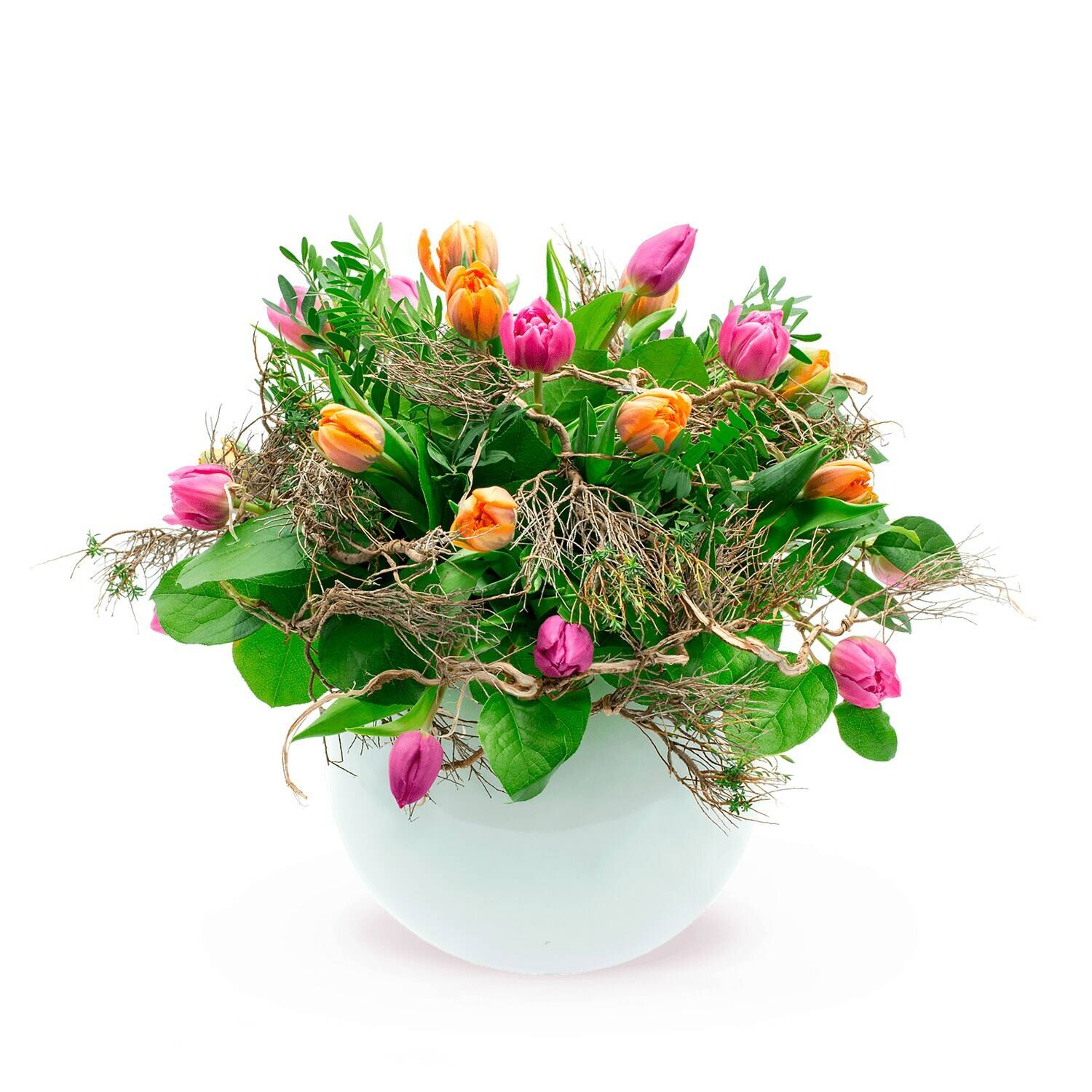 Blume, Blumen-Arrangement, Pflanze, Blumenstrauß, Topfpflanze, Blume, Blumen-Arrangement, Pflanze, Blumenstrauß, Topfpflanze, Blume, Blumen-Arrangement, Pflanze, Blumenstrauß, Topfpflanze