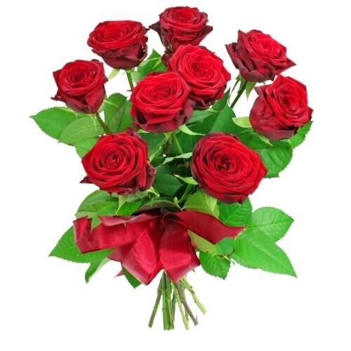 Blume, Pflanze, Rose, Blumen-Arrangement, Blumenstrauß, Blume, Pflanze, Rose, Blumen-Arrangement, Blumenstrauß, Blume, Pflanze, Rose, Blumen-Arrangement, Blumenstrauß, Blume, Pflanze, Rose, Blumen-Arrangement, Blumenstrauß