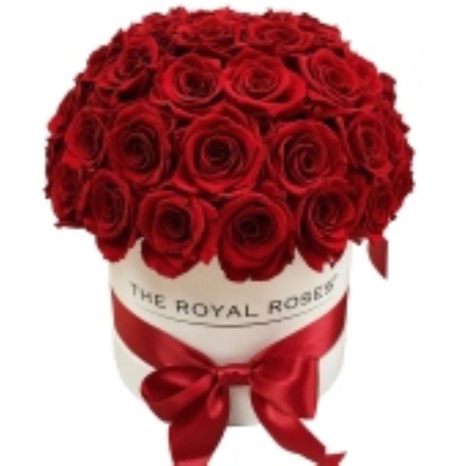 Blume, Rose, Blumen-Arrangement, Blumenstrauß, Blütenblatt, Blume, Rose, Blumen-Arrangement, Blumenstrauß, Blütenblatt, Blume, Rose, Blumen-Arrangement, Blumenstrauß, Blütenblatt, Blume, Rose, Blumen-Arrangement, Blumenstrauß, Blütenblatt