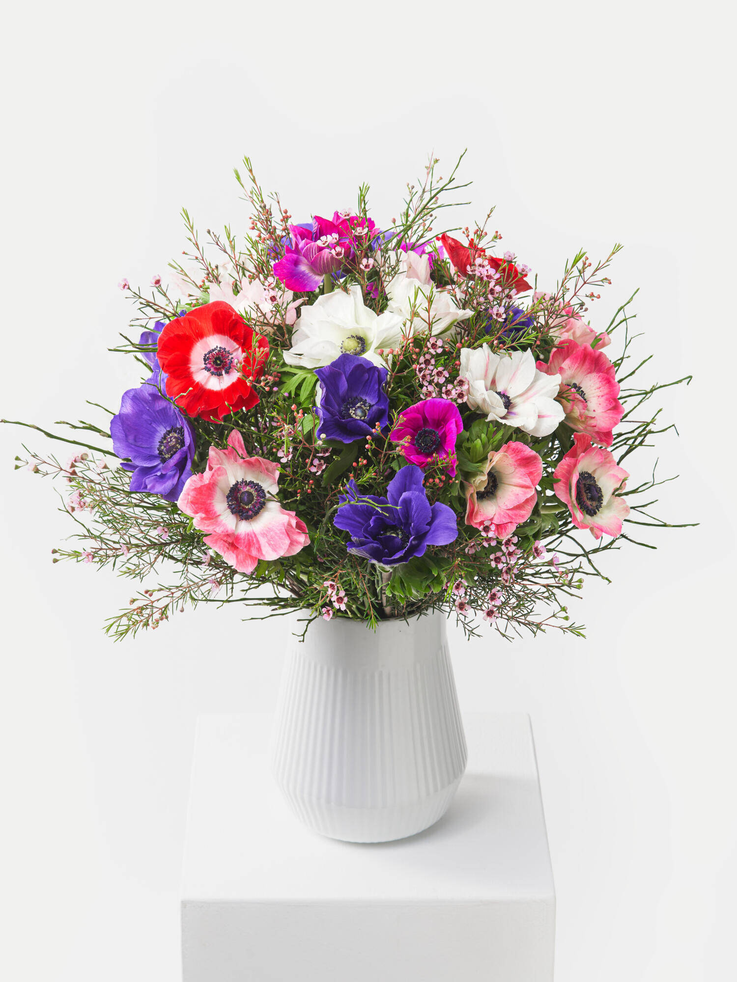 Farbenpracht - Hauptfarbe: Pink, Rot, Violett, Weiß