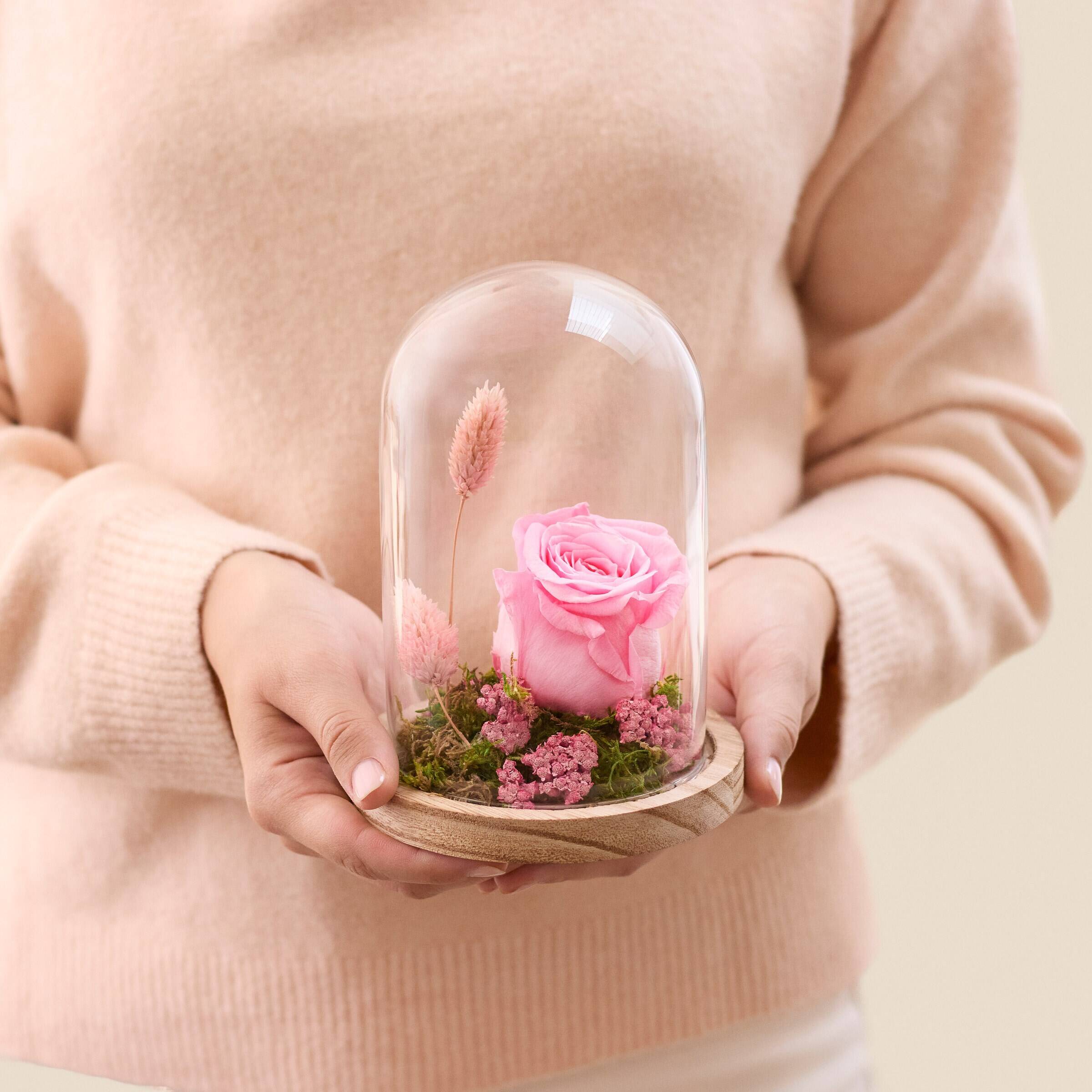 rosen, glasglocke, blumenpräsent, holzunterlage, ausstellungsstück, rosa rose, glasglocke, Blumenarrangement, pinkfarbene Blüten, Holzunterlage, Blumen arrangement, rosa rose, Glassenkuppel, Holzunterlage, getrocknete/haltbare Blumen