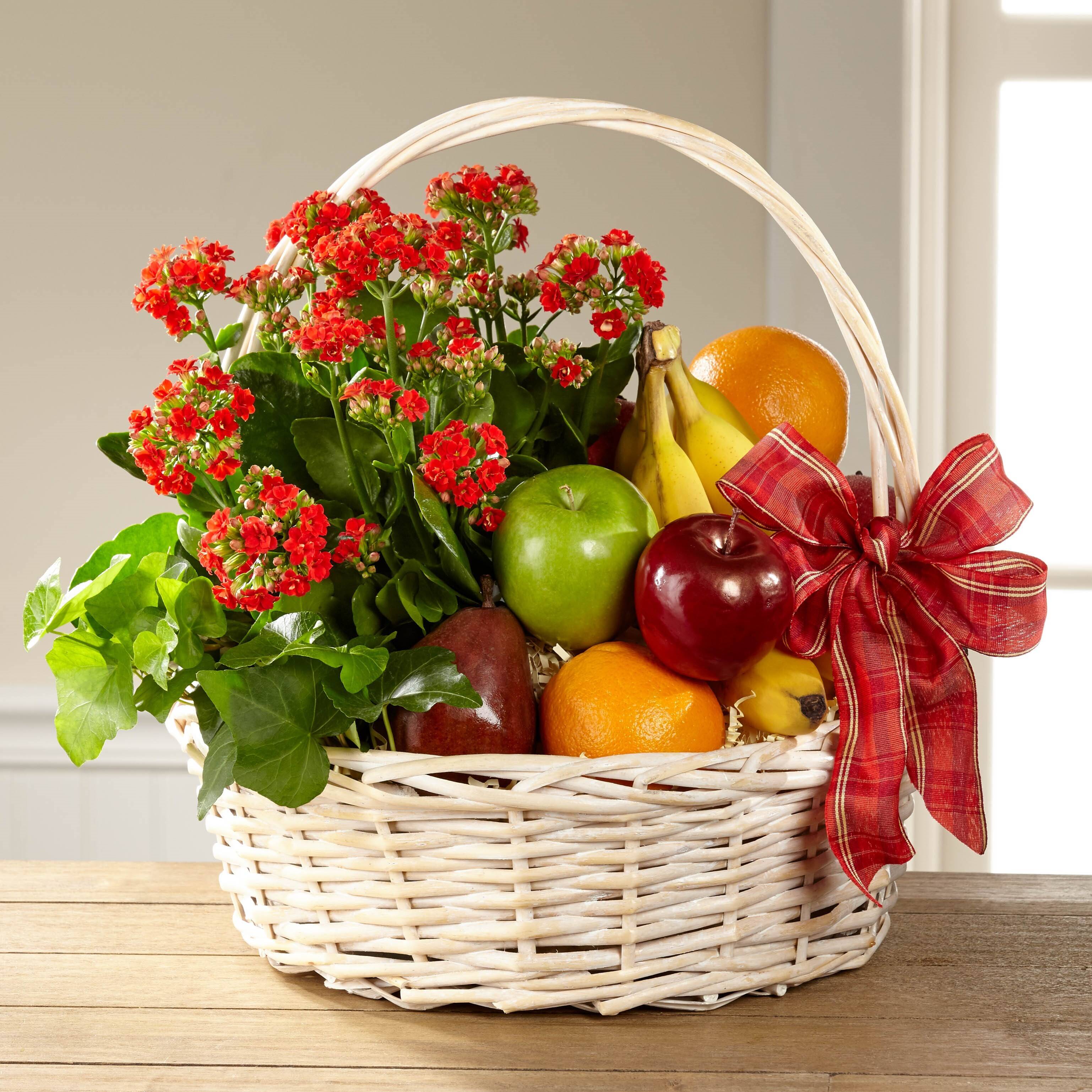 Blume, Blumen-Arrangement, Pflanze, Blumenstrauß, Korb, Blume, Blumen-Arrangement, Pflanze, Blumenstrauß, Korb, Blume, Blumen-Arrangement, Pflanze, Blumenstrauß, Korb, Blume, Blumen-Arrangement, Pflanze, Blumenstrauß, Korb, Lustig, Lustig, Lustig, Lustig