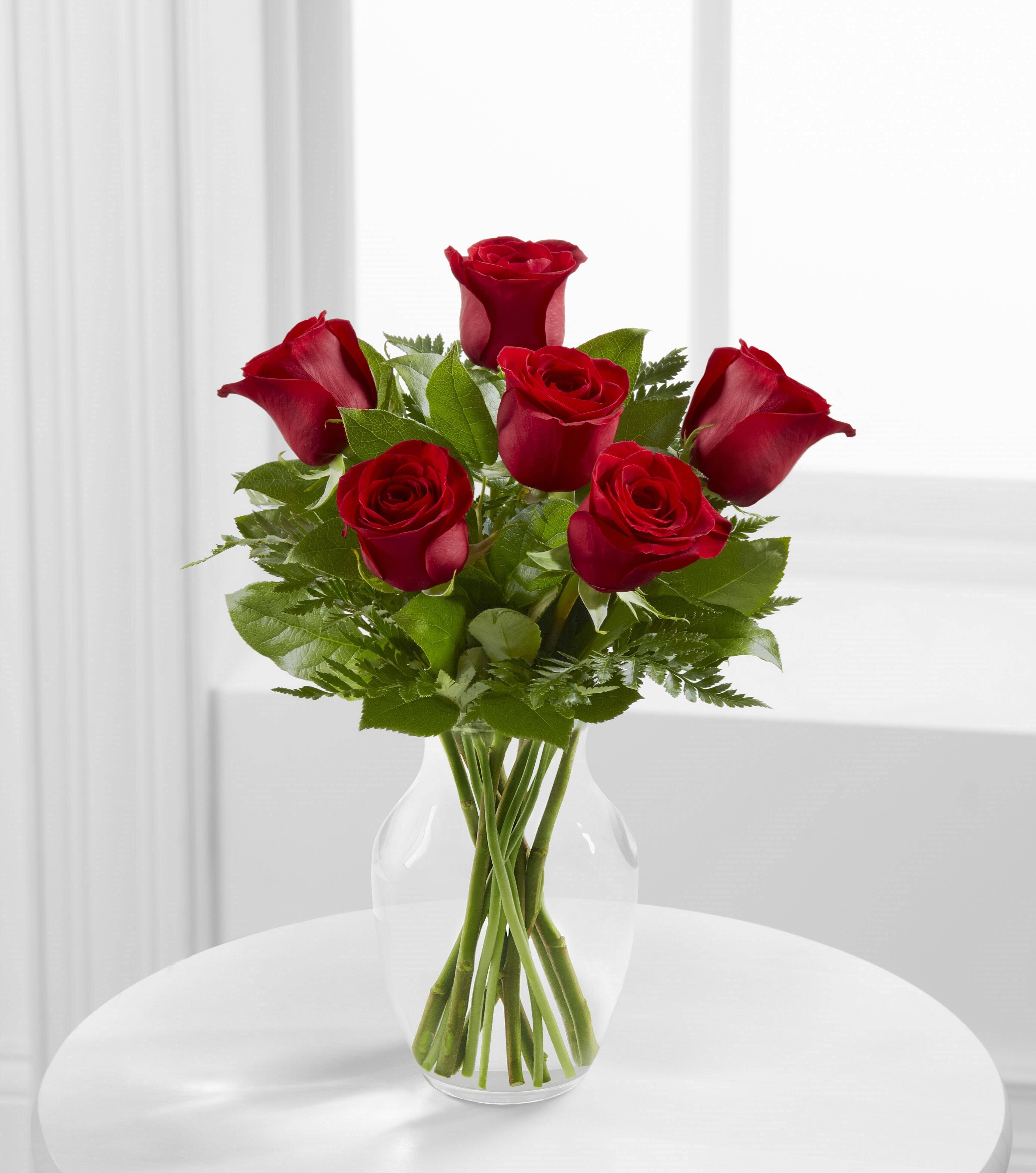 Blume, Pflanze, Rose, Blumen-Arrangement, Blumenstrauß, Blume, Pflanze, Rose, Blumen-Arrangement, Blumenstrauß, Blume, Pflanze, Rose, Blumen-Arrangement, Blumenstrauß, Blume, Pflanze, Rose, Blumen-Arrangement, Blumenstrauß