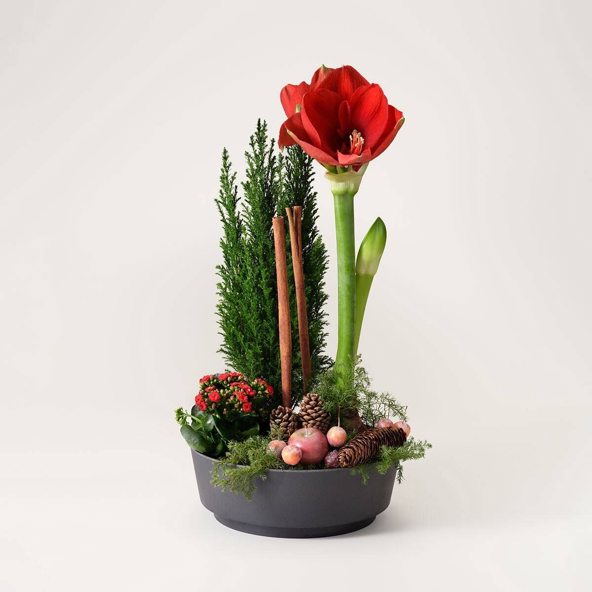 Blume, Blumen-Arrangement, Pflanze, Ikebana, Blumenstrauß, Blume, Blumen-Arrangement, Pflanze, Ikebana, Blumenstrauß, Blume, Blumen-Arrangement, Pflanze, Ikebana, Blumenstrauß, Blume, Blumen-Arrangement, Pflanze, Ikebana, Blumenstrauß