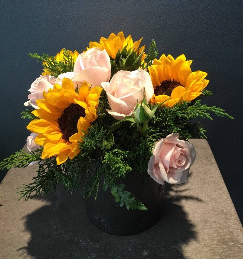 Topfpflanze, Blume, Blumen-Arrangement, Blumenstrauß, Rose, Topfpflanze, Blume, Blumen-Arrangement, Blumenstrauß, Rose, Topfpflanze, Blume, Blumen-Arrangement, Blumenstrauß, Rose, Topfpflanze, Blume, Blumen-Arrangement, Blumenstrauß, Rose