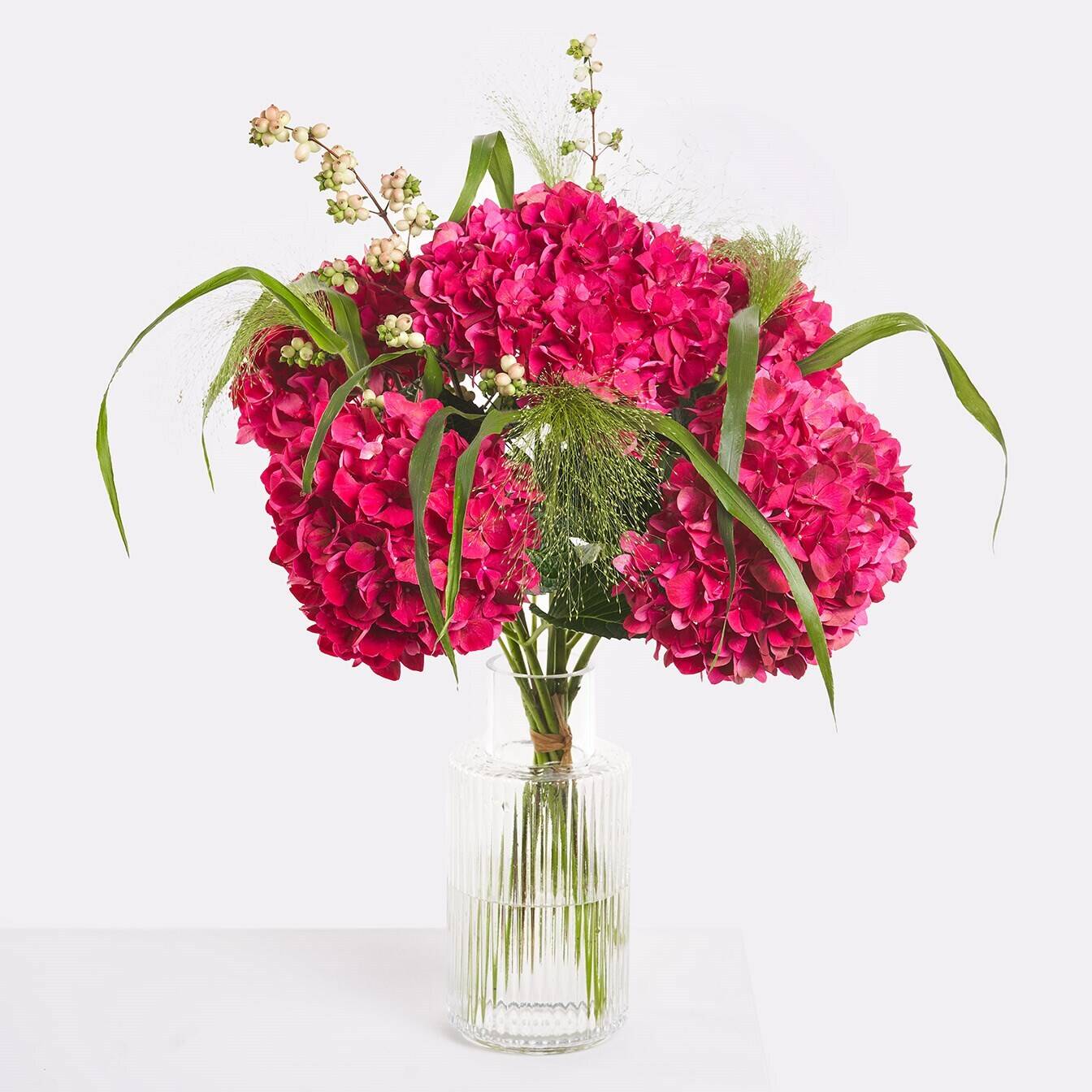Blume, Blumen-Arrangement, Blumenstrauß, Florales Design, Nelke, Blume, Blumen-Arrangement, Blumenstrauß, Florales Design, Nelke, Blume, Blumen-Arrangement, Blumenstrauß, Florales Design, Nelke