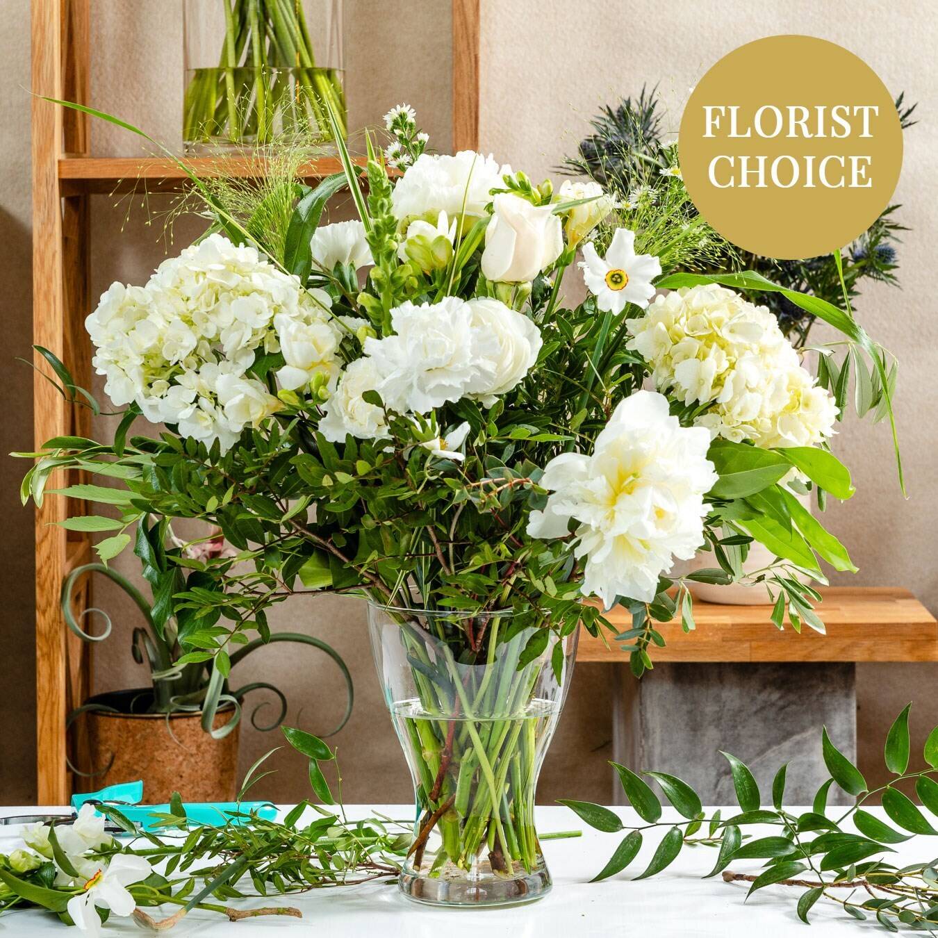 Blume, Blumen-Arrangement, Florales Design, Grafiken, Blumenstrauß, Blume, Blumen-Arrangement, Florales Design, Grafiken, Blumenstrauß, Blume, Blumen-Arrangement, Florales Design, Grafiken, Blumenstrauß, blumen, sträuße, weiß, hydrangea, glockenblume