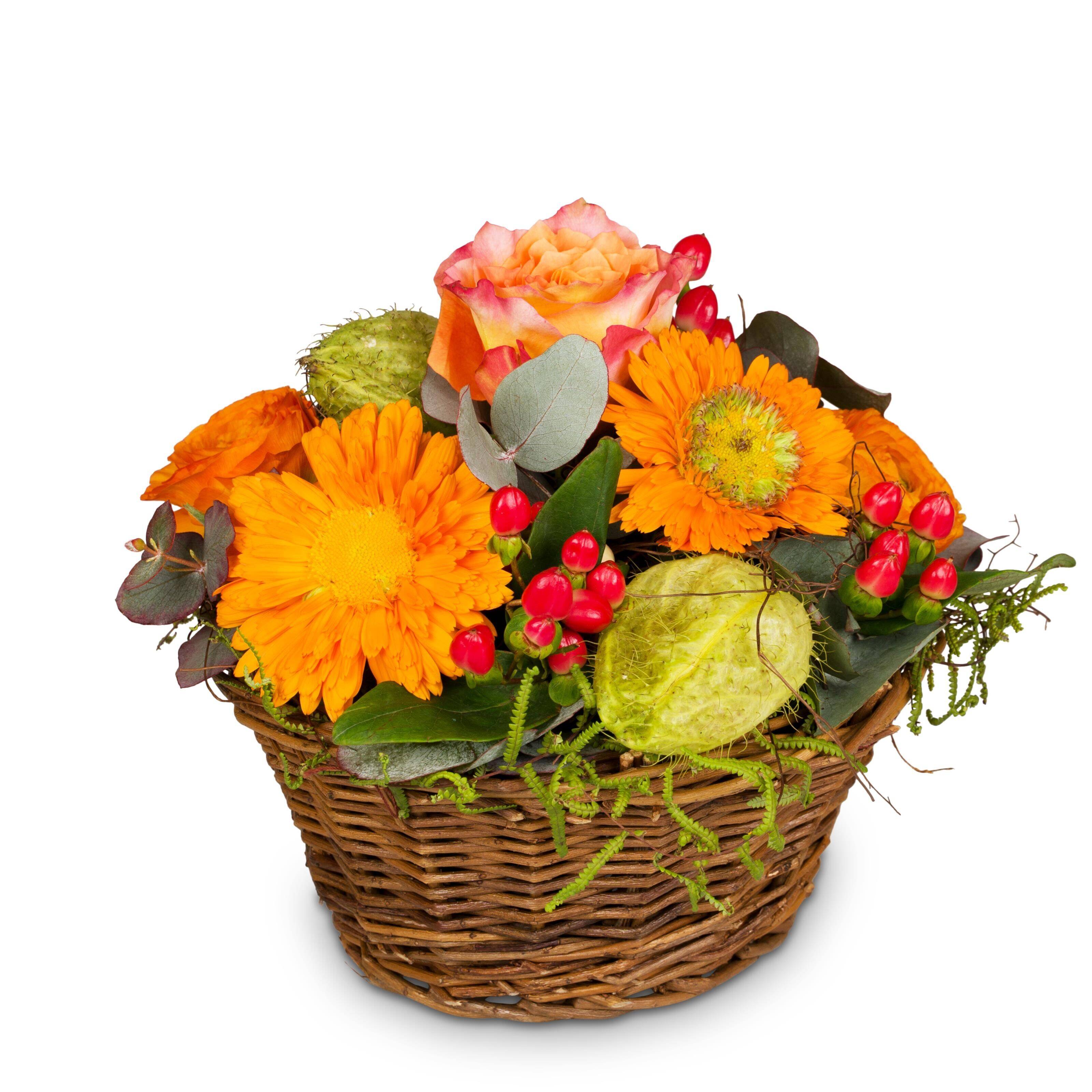 Blume, Blumen-Arrangement, Blumenstrauß, Korb, Rose, Blume, Blumen-Arrangement, Blumenstrauß, Korb, Rose, Blume, Blumen-Arrangement, Blumenstrauß, Korb, Rose, Blume, Blumen-Arrangement, Blumenstrauß, Korb, Rose