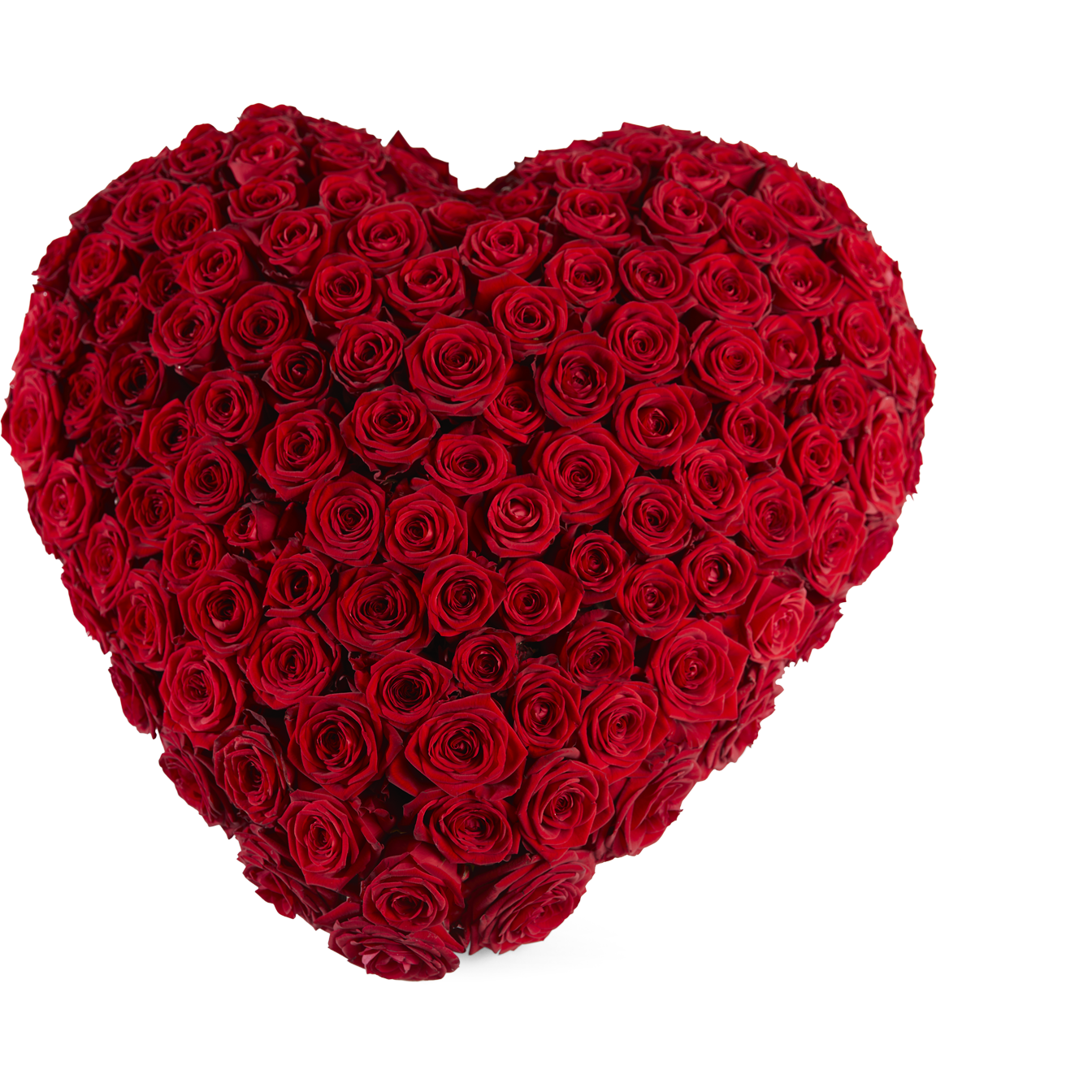Pflanze, Rose, Herz, Beere, Produzieren, Pflanze, Rose, Herz, Beere, Produzieren, Pflanze, Rose, Herz, Beere, Produzieren, Pflanze, Rose, Herz, Beere, Produzieren, Pflanze, Rose, Herz, Beere, Produzieren, Pflanze, Rose, Herz, Beere, Produzieren