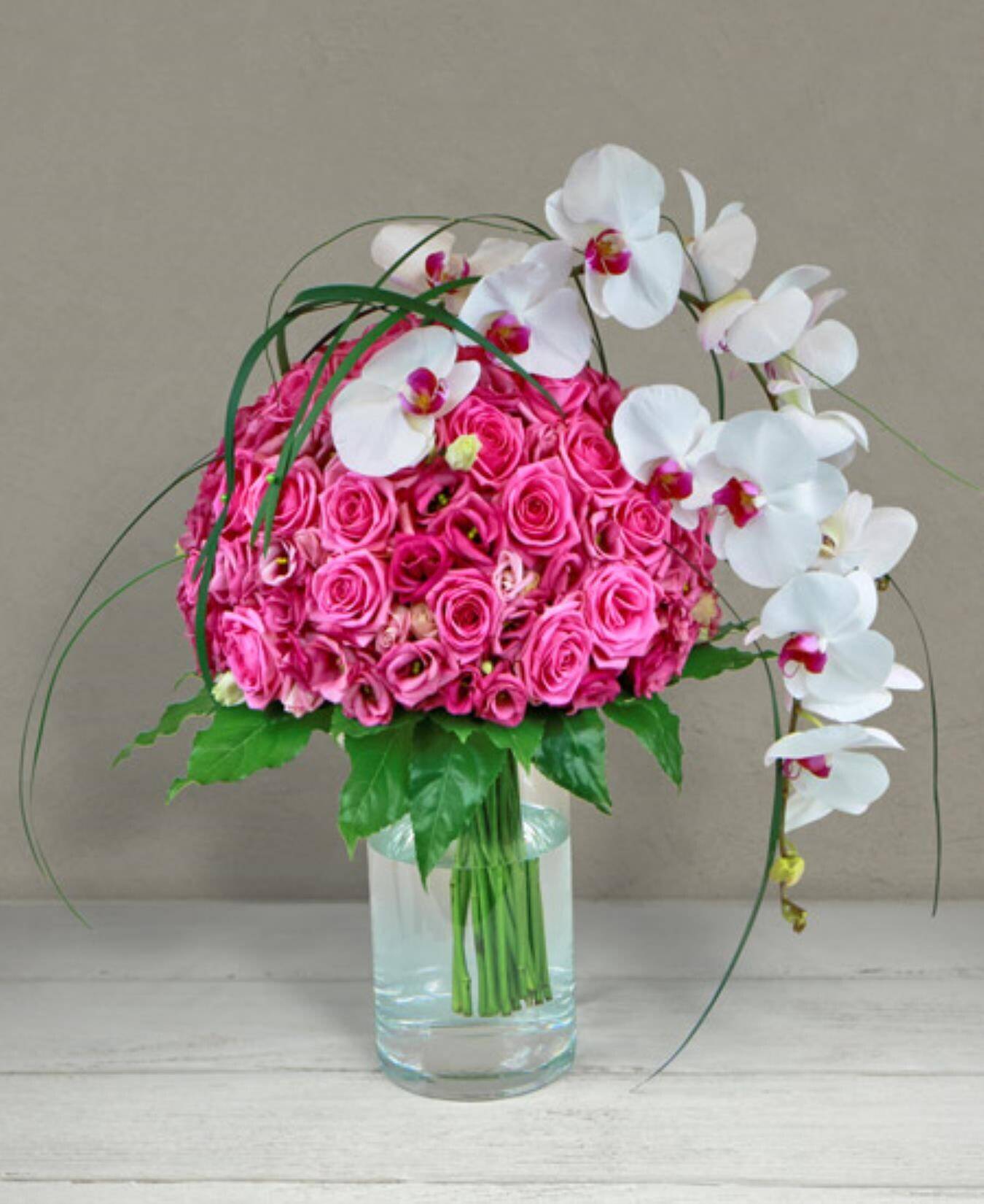 Blumen-Arrangement, Florales Design, Grafiken, Muster, Blumenstrauß, Blumen-Arrangement, Florales Design, Grafiken, Muster, Blumenstrauß, Blumen-Arrangement, Florales Design, Grafiken, Muster, Blumenstrauß
