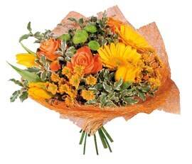 Blume, Blumen-Arrangement, Blumenstrauß, Pflanze, Blume, Blumen-Arrangement, Blumenstrauß, Pflanze, Blume, Blumen-Arrangement, Blumenstrauß, Pflanze, Blume, Blumen-Arrangement, Blumenstrauß, Pflanze, Blume, Blumen-Arrangement, Blumenstrauß, Pflanze