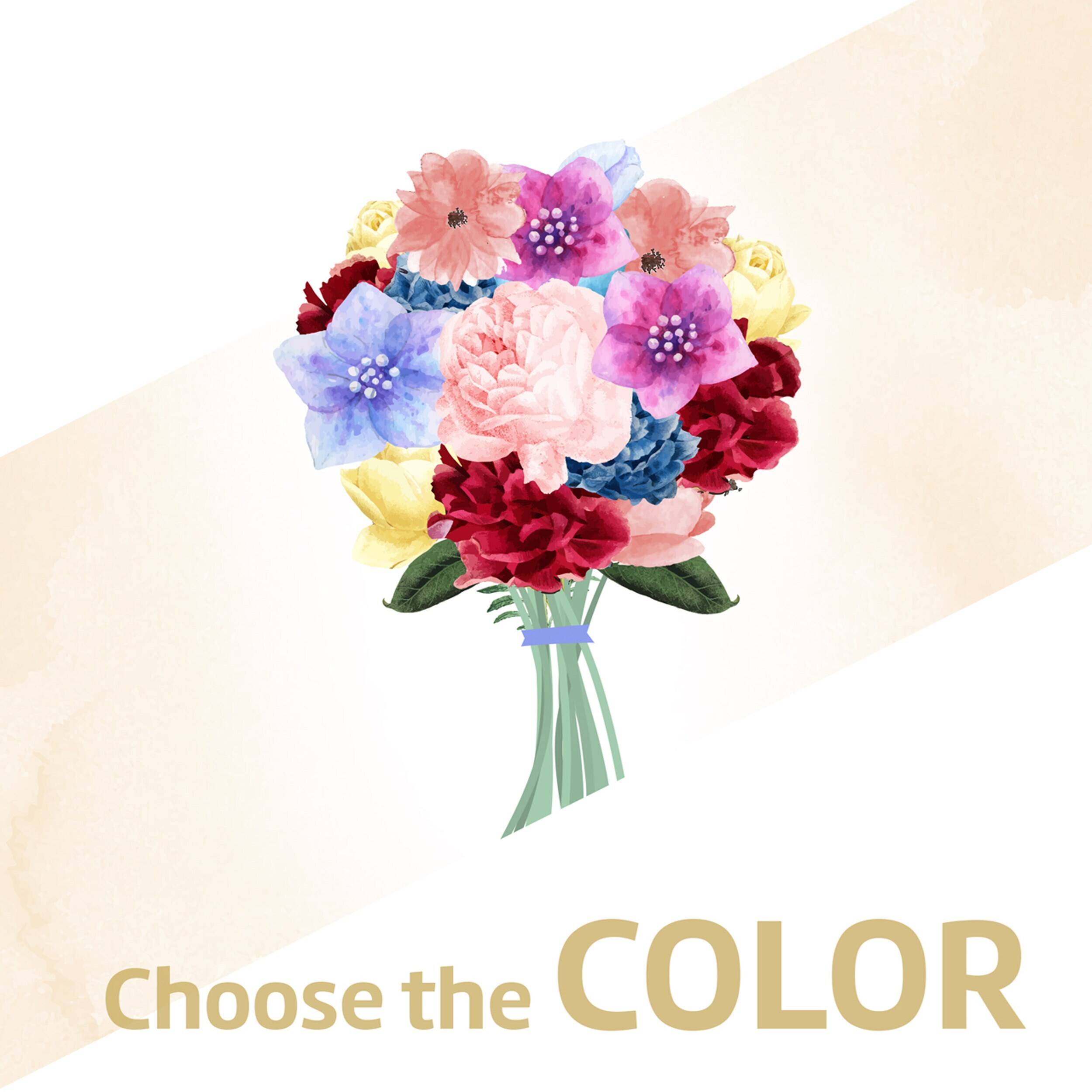 Blume, Blumen-Arrangement, Blumenstrauß, Pflanze, Nelke, Blume, Blumen-Arrangement, Blumenstrauß, Pflanze, Nelke, Blume, Blumen-Arrangement, Blumenstrauß, Pflanze, Nelke, Blume, Blumen-Arrangement, Blumenstrauß, Pflanze, Nelke