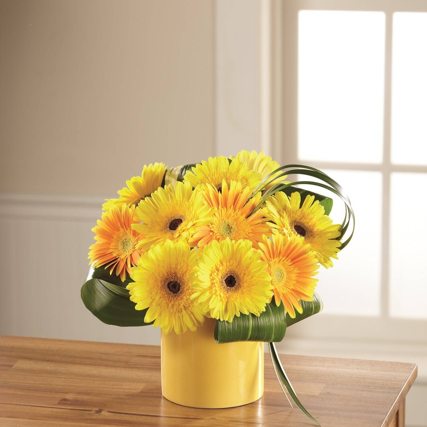 Blume, Blumen-Arrangement, Blumenstrauß, Gänseblümchen, Sonnenblume, Blume, Blumen-Arrangement, Blumenstrauß, Gänseblümchen, Sonnenblume, Blume, Blumen-Arrangement, Blumenstrauß, Gänseblümchen, Sonnenblume, Blume, Gerbera, Gelb, Bouquet, Vase