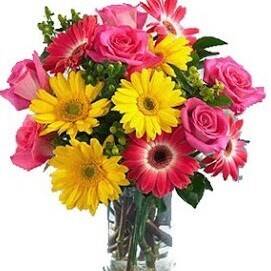 Blume, Blumen-Arrangement, Blumenstrauß, Gänseblümchen, Anemone, Blume, Blumen-Arrangement, Blumenstrauß, Gänseblümchen, Anemone, Blume, Blumen-Arrangement, Blumenstrauß, Gänseblümchen, Anemone, Blumenstrauß, Blumen, rosa Rosen, gelbe Gerberas, Glasvase