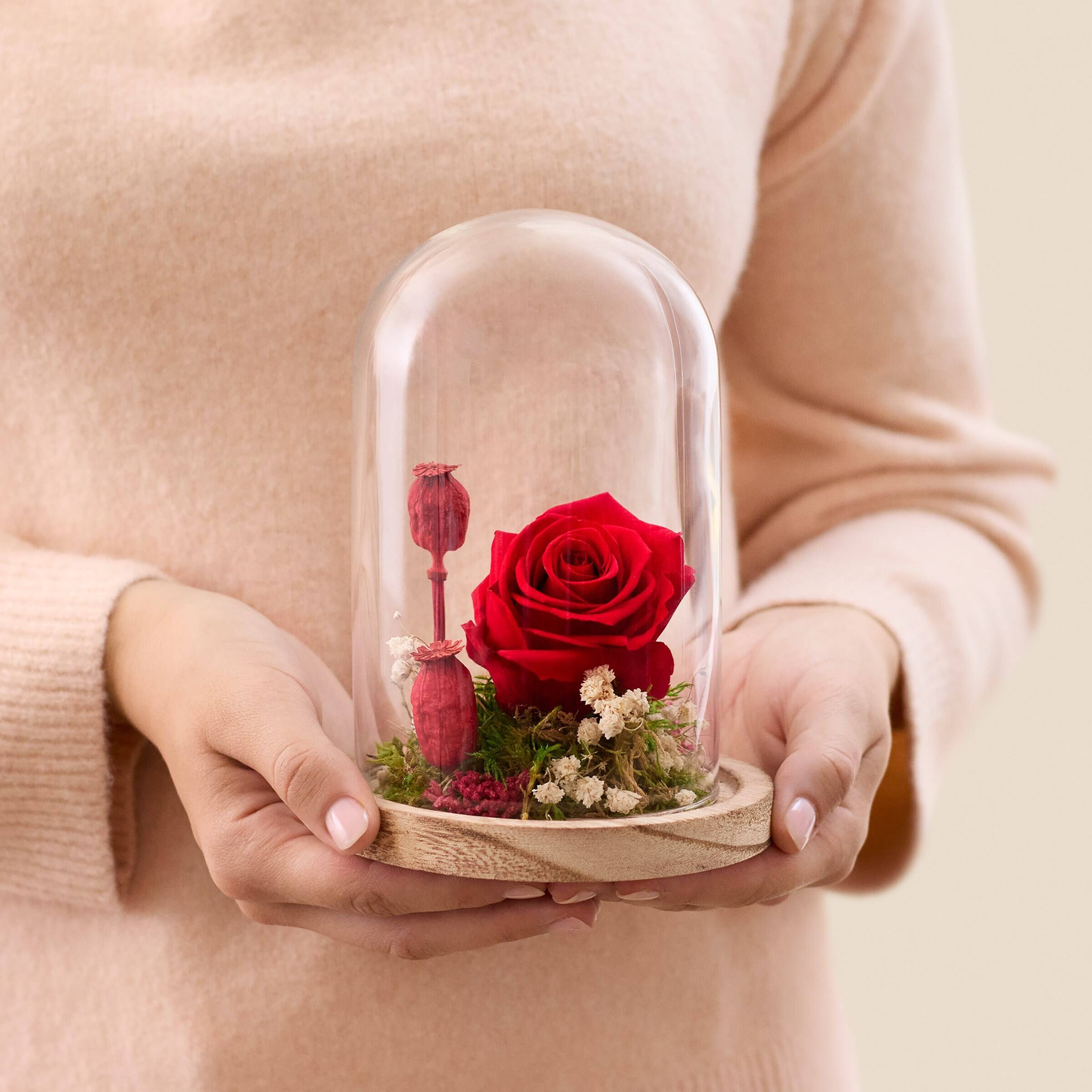 Eternal love - Amour eternel