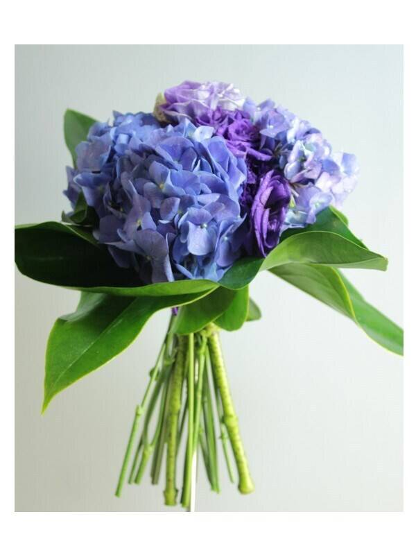 Blume, Blumen-Arrangement, Blumenstrauß, Pflanze, Florales Design, Blume, Blumen-Arrangement, Blumenstrauß, Pflanze, Florales Design, Blume, Blumen-Arrangement, Blumenstrauß, Pflanze, Florales Design, hortensie, Blumenstrauß, lila, Stängel-grün, blätter