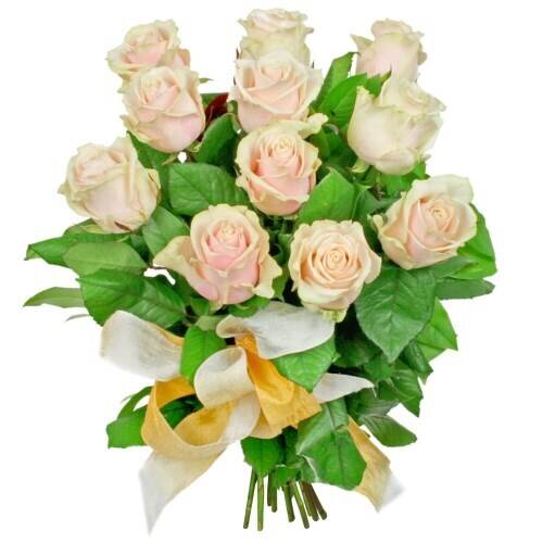 Blume, Blumen-Arrangement, Blumenstrauß, Pflanze, Rose, Blume, Blumen-Arrangement, Blumenstrauß, Pflanze, Rose, Blume, Blumen-Arrangement, Blumenstrauß, Pflanze, Rose, Blume, Blumen-Arrangement, Blumenstrauß, Pflanze, Rose