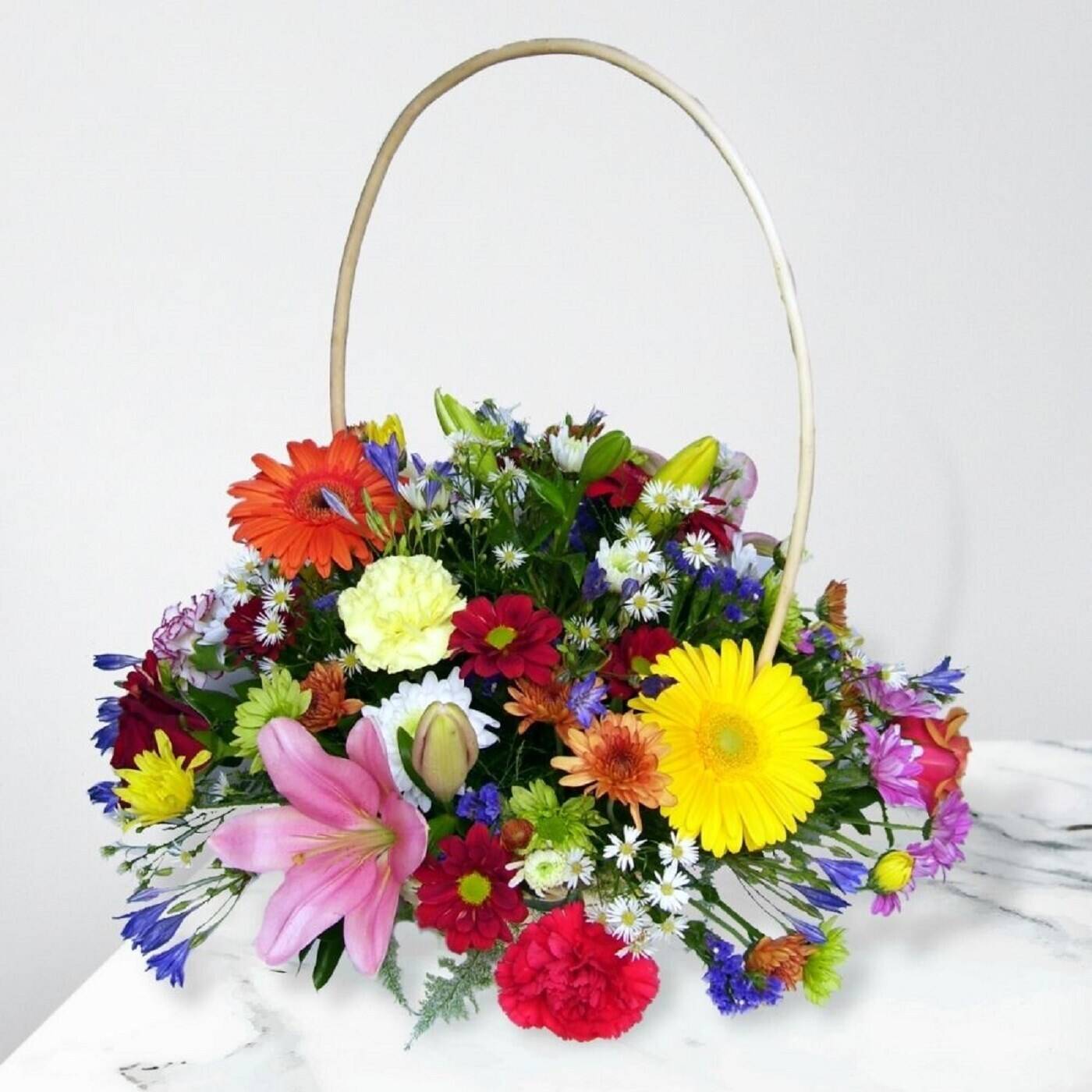 Blume, Blumen-Arrangement, Pflanze, Blumenstrauß, Blume, Blumen-Arrangement, Pflanze, Blumenstrauß, Blume, Blumen-Arrangement, Pflanze, Blumenstrauß, Blume, Blumen-Arrangement, Pflanze, Blumenstrauß, Blume, Blumen-Arrangement, Pflanze, Blumenstrauß