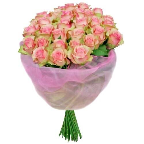 Blume, Blumen-Arrangement, Blumenstrauß, Rose, Topfpflanze, Blume, Blumen-Arrangement, Blumenstrauß, Rose, Topfpflanze, Blume, Blumen-Arrangement, Blumenstrauß, Rose, Topfpflanze, Blume, Blumen-Arrangement, Blumenstrauß, Rose, Topfpflanze