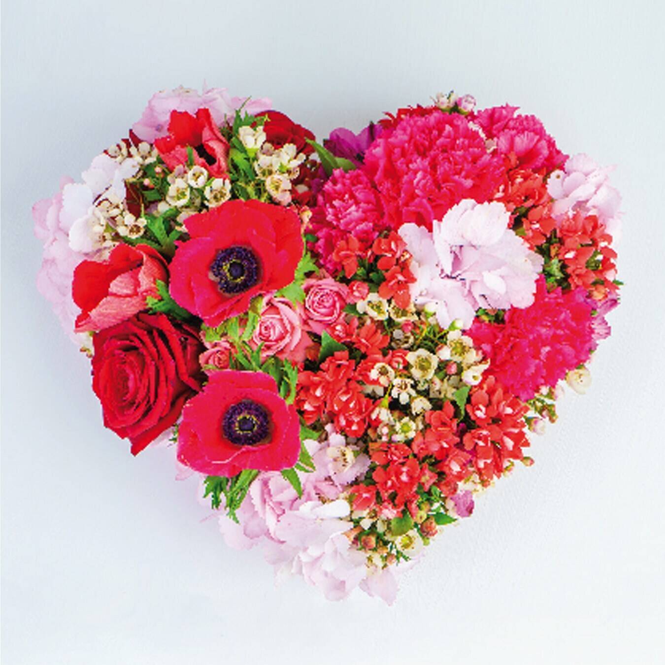 Blume, Blumen-Arrangement, Blumenstrauß, Florales Design, Rose, Blume, Blumen-Arrangement, Blumenstrauß, Florales Design, Rose, Blume, Blumen-Arrangement, Blumenstrauß, Florales Design, Rose, blumen, blumenarrangement, herzform, pink rot, sträußchen