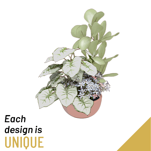Pflanze, Pflanze im Topf, Blatt, Blume, Blumen-Arrangement, Pflanze, Pflanze im Topf, Blatt, Blume, Blumen-Arrangement, Pflanze, Pflanze im Topf, Blatt, Blume, Blumen-Arrangement, Pflanze, Pflanze im Topf, Blatt, Blume, Blumen-Arrangement